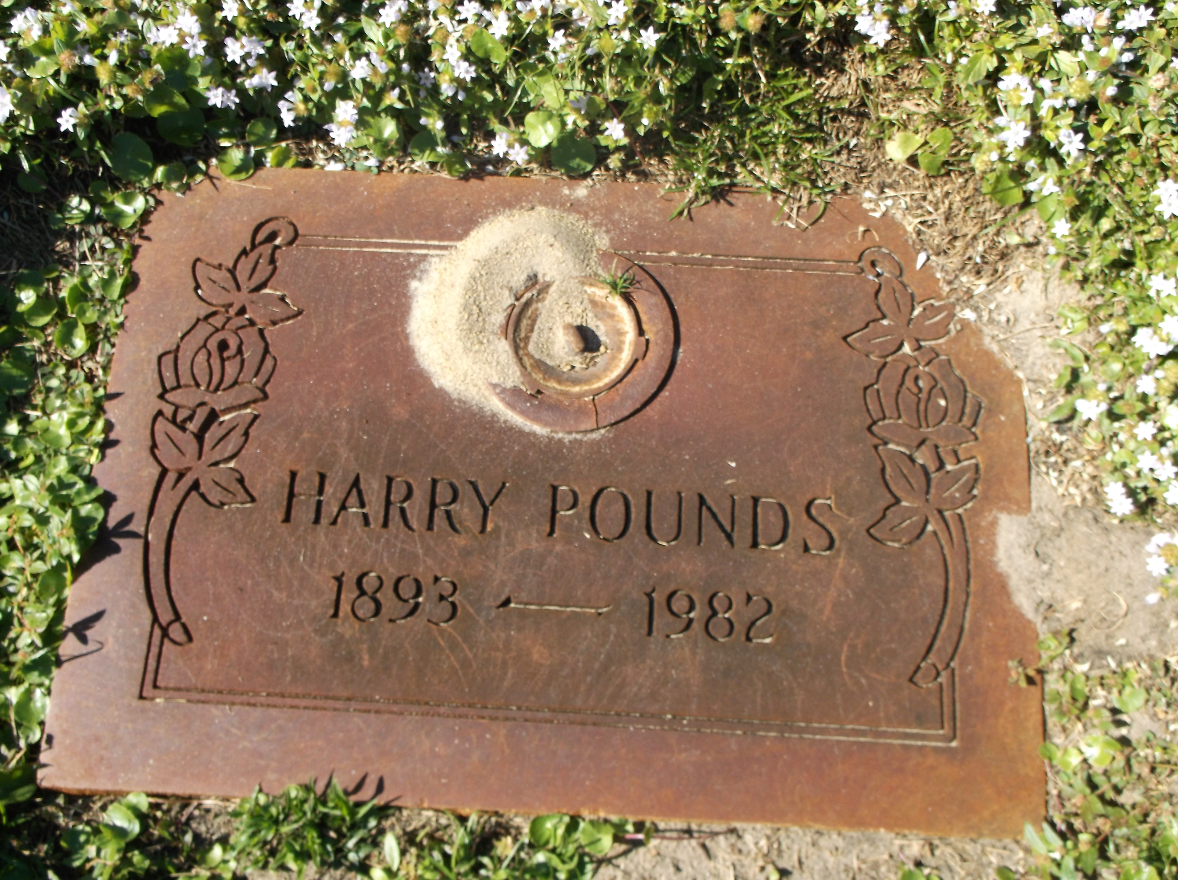 Harry Pounds