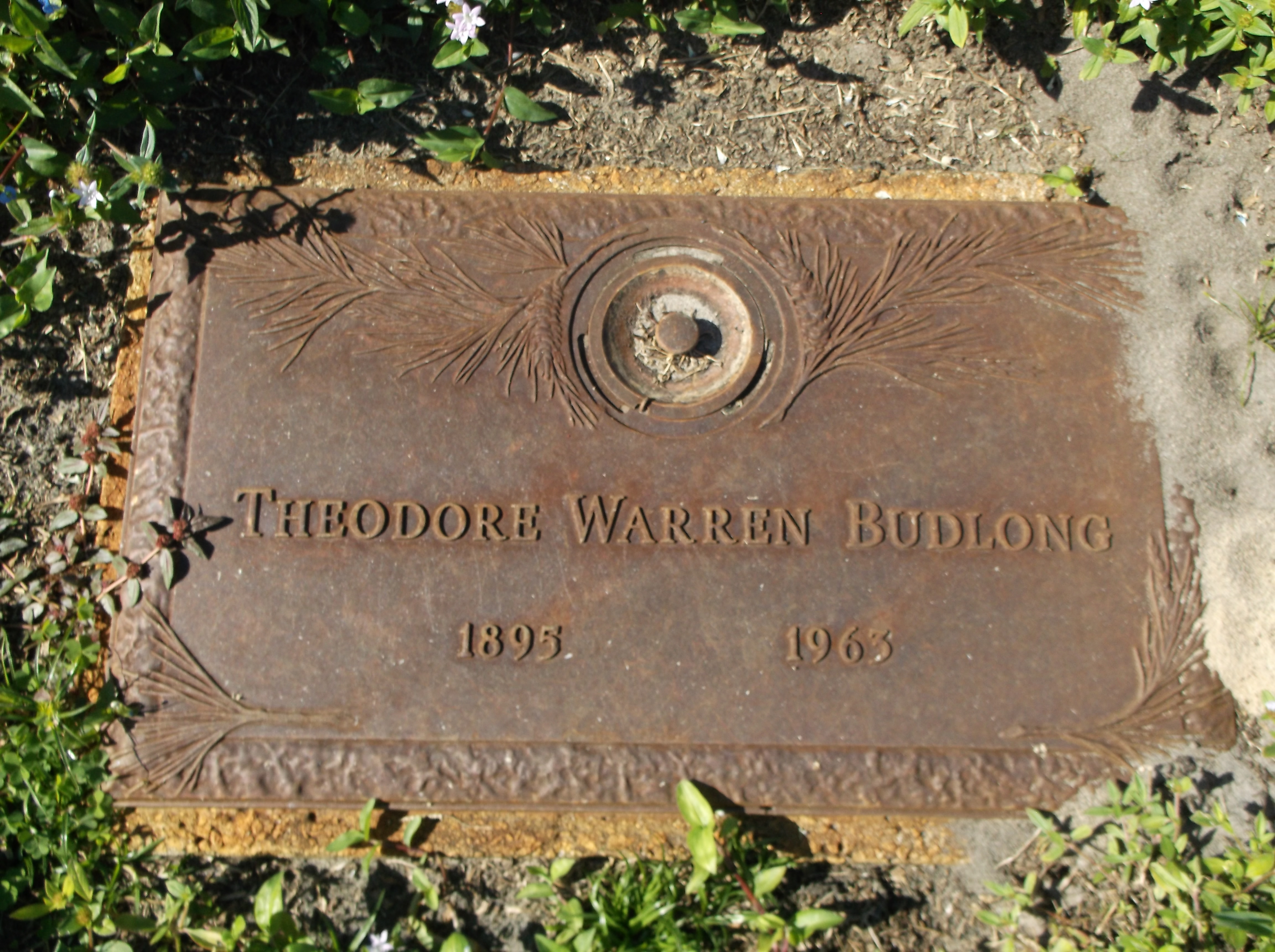 Theodore Warren Budlong