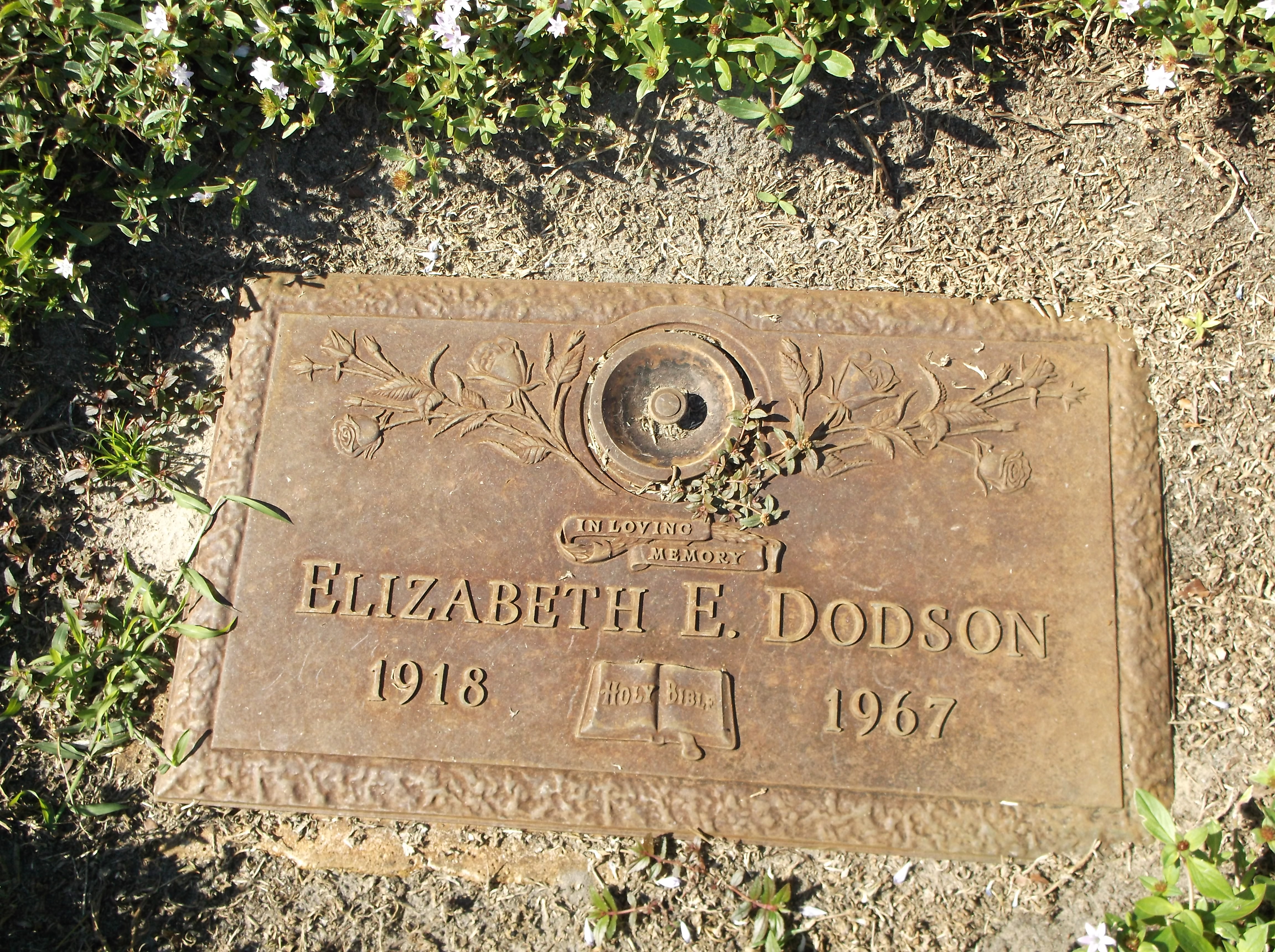Elizabeth E Dodson