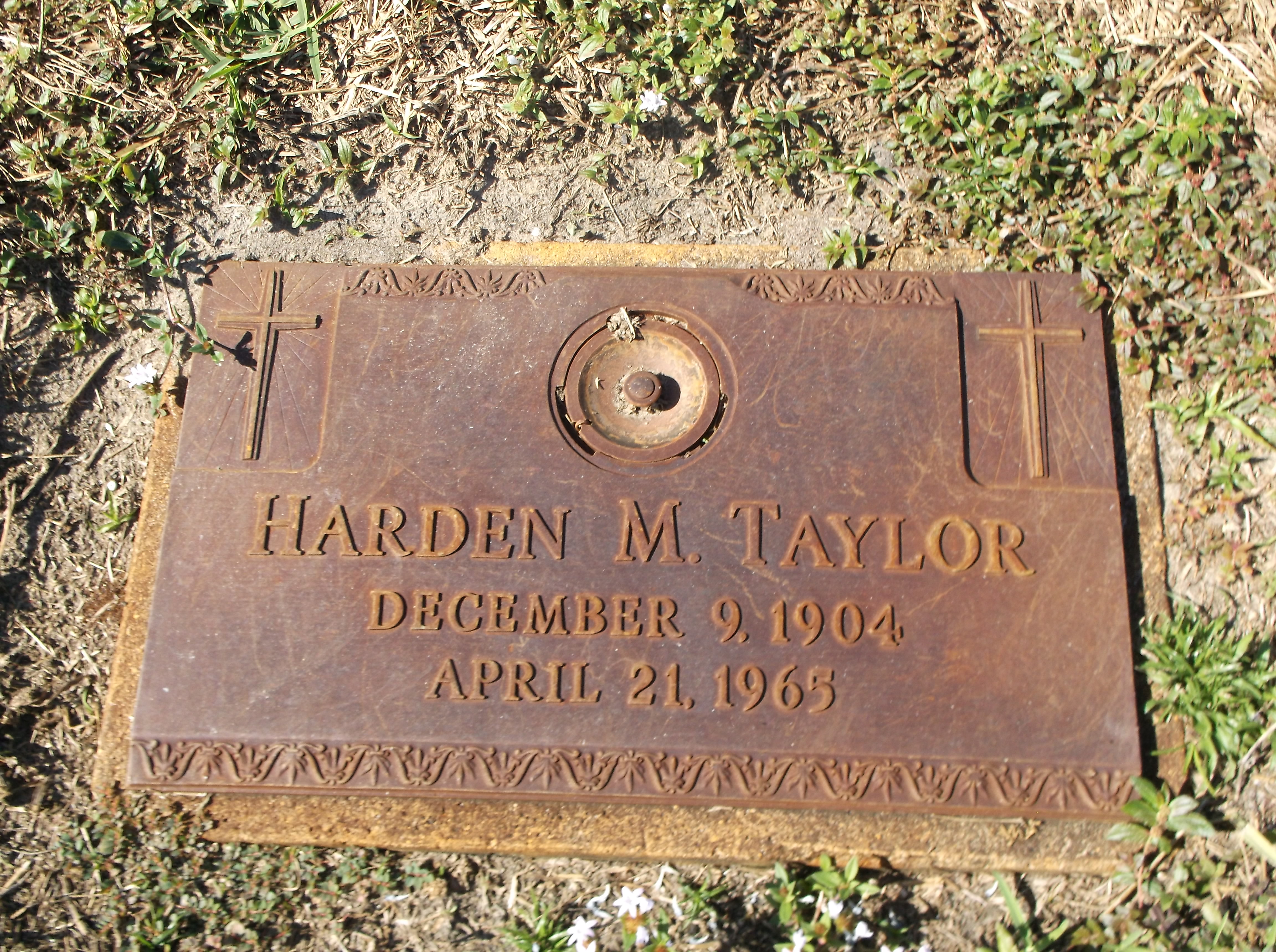 Harden M Taylor