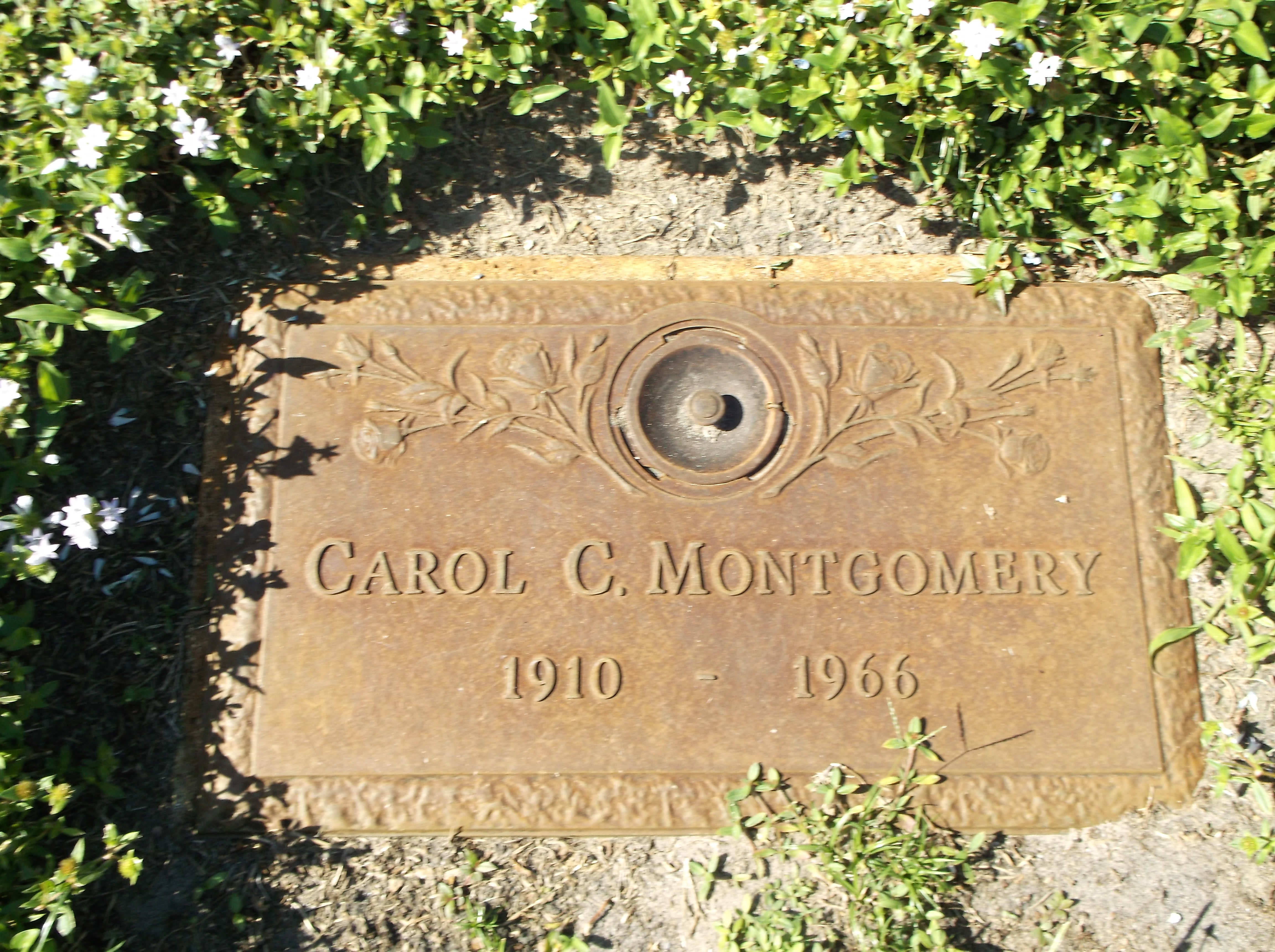 Carol C Montgomery