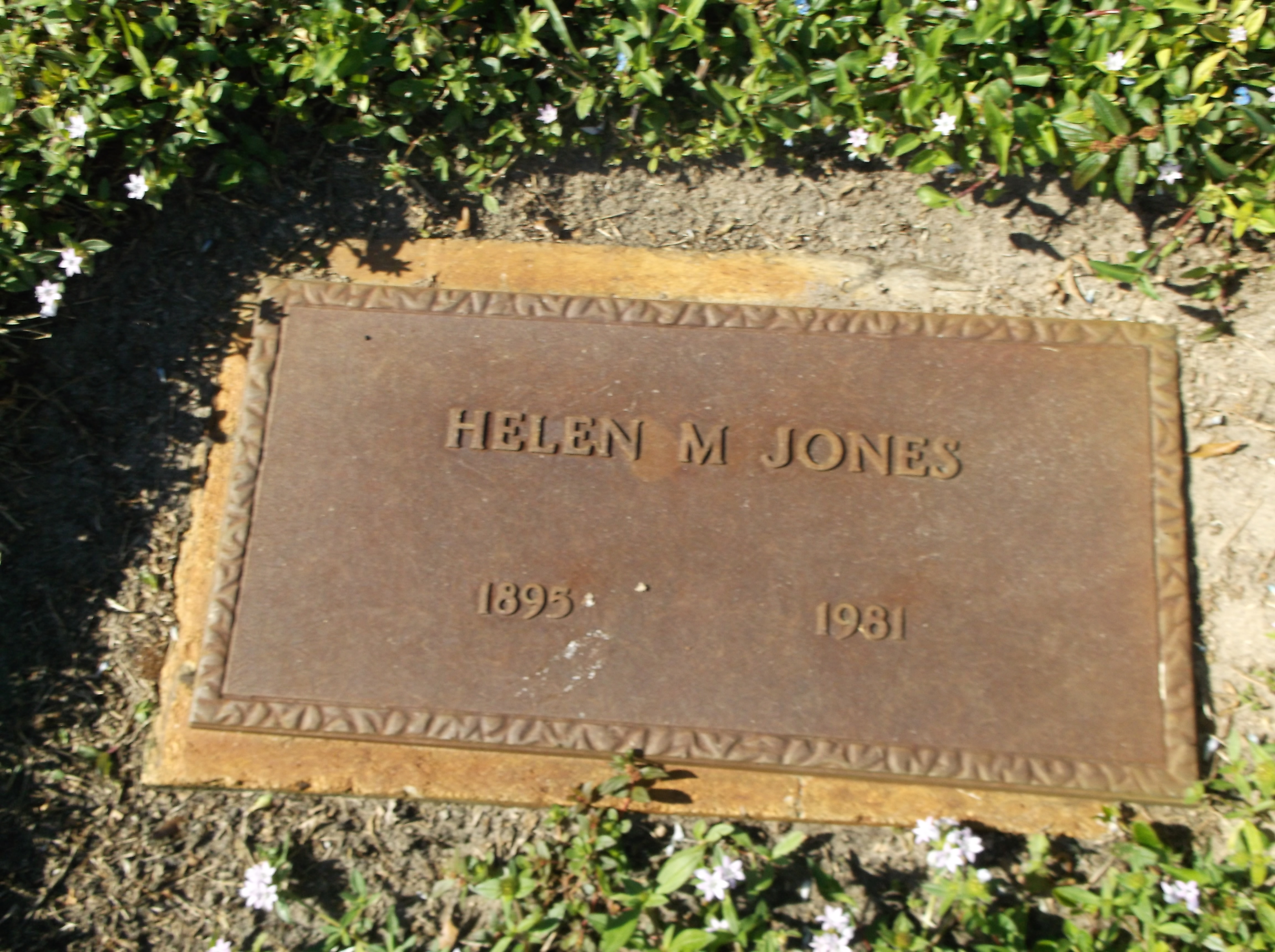 Helen M Jones