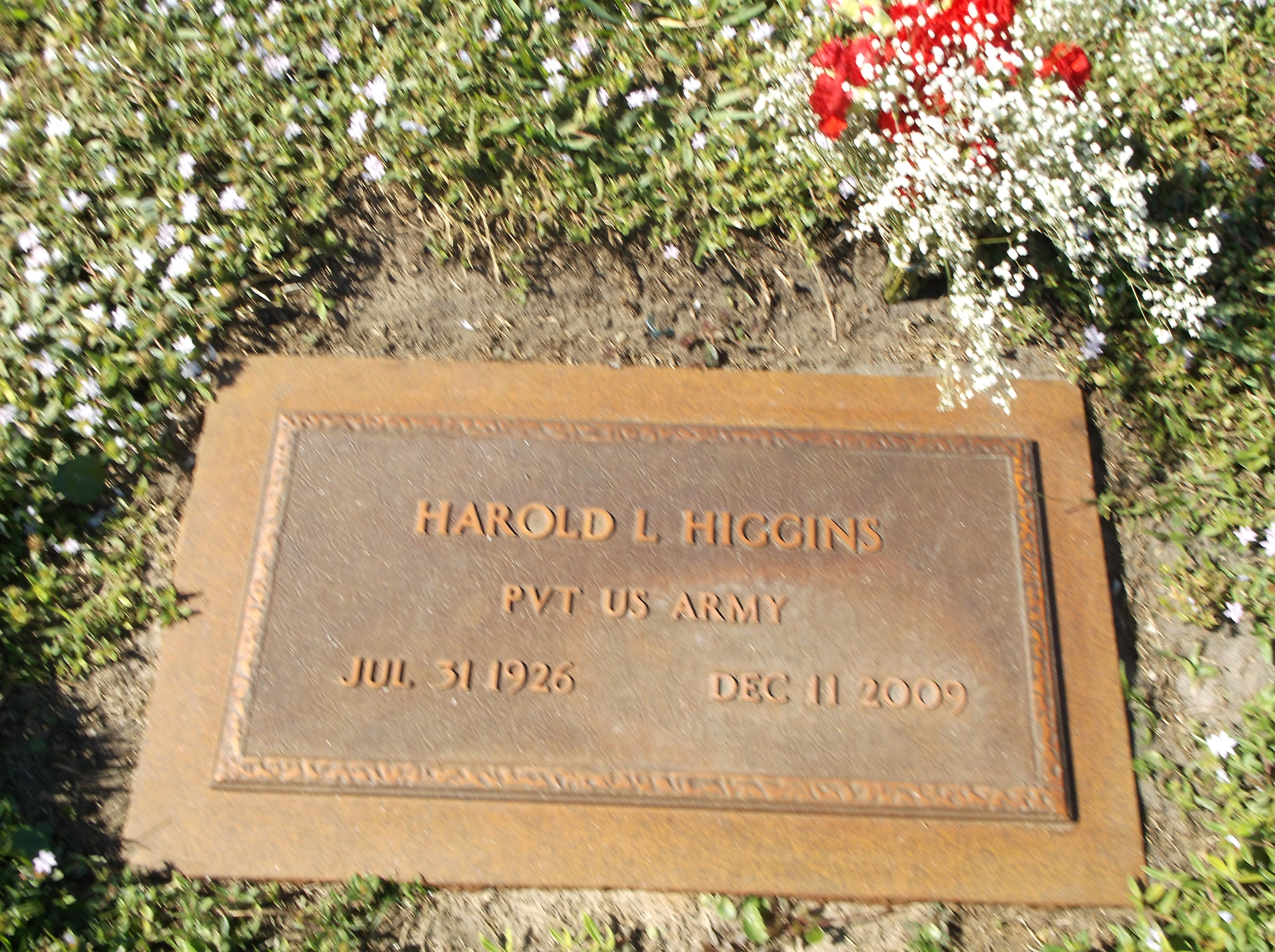 Harold L Higgins