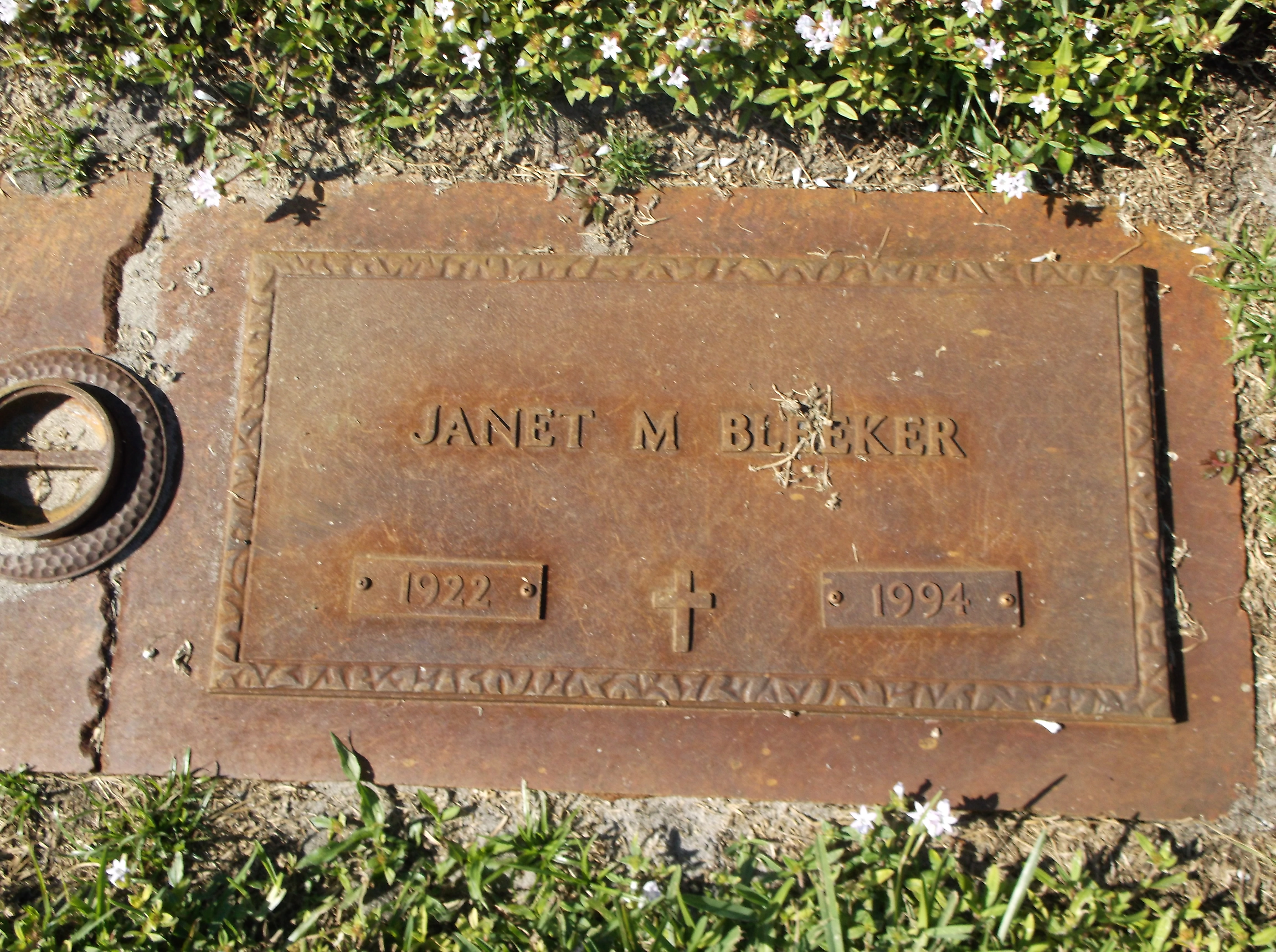 Janet M Bleeker