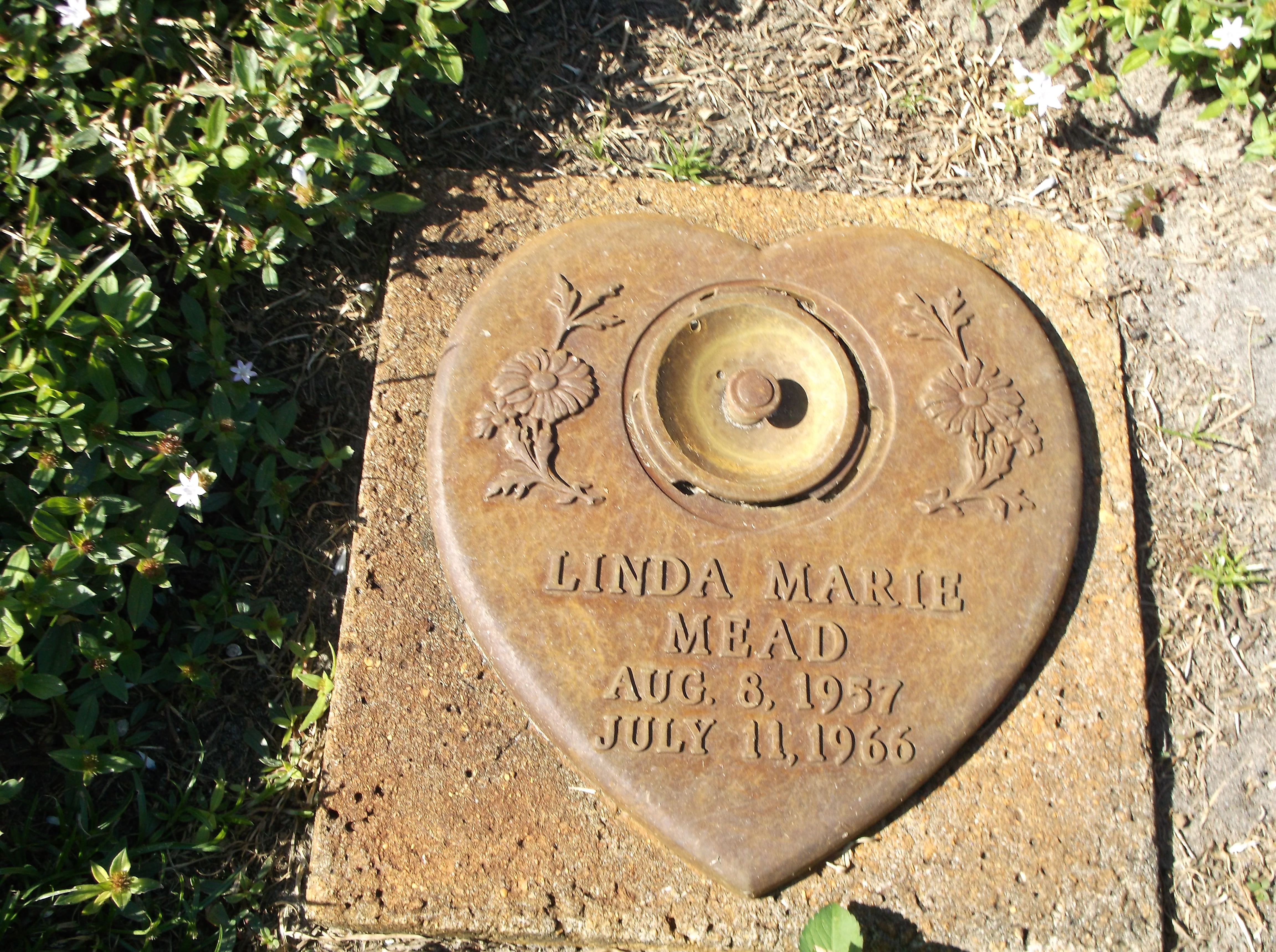 Linda Marie Mead