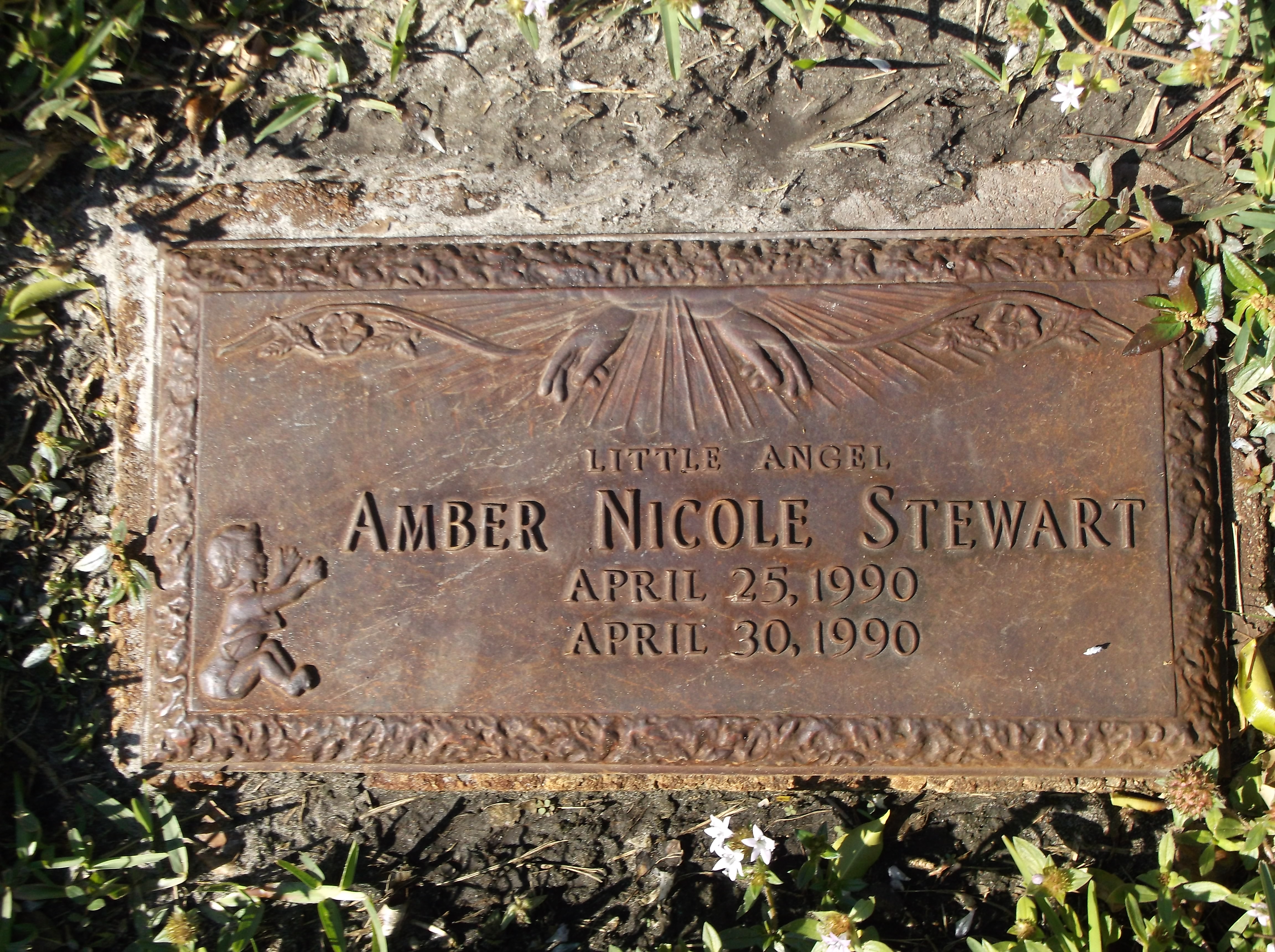 Amber Nicole Stewart
