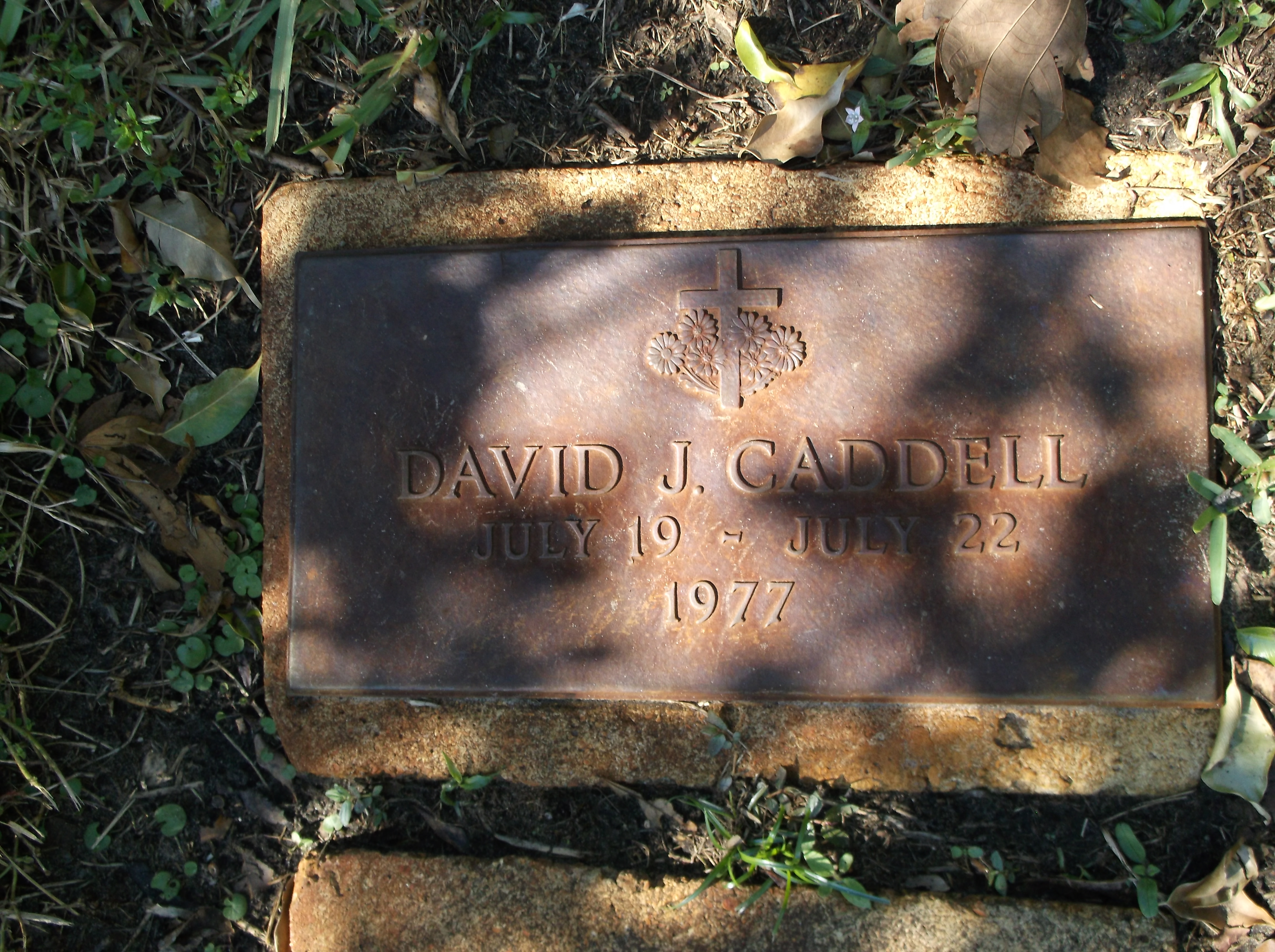 David J Caddell