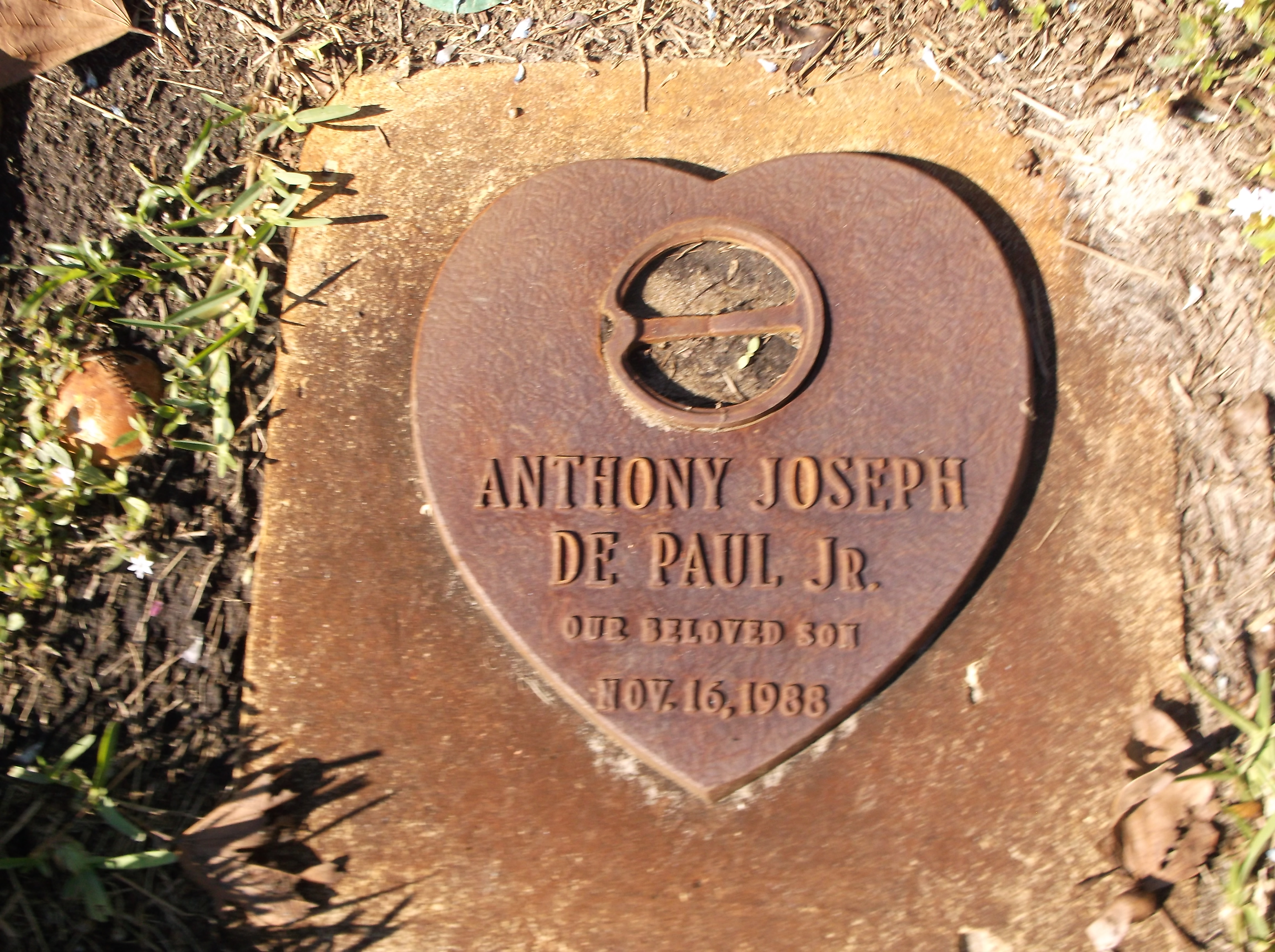 Anthony Joseph De Paul, Jr