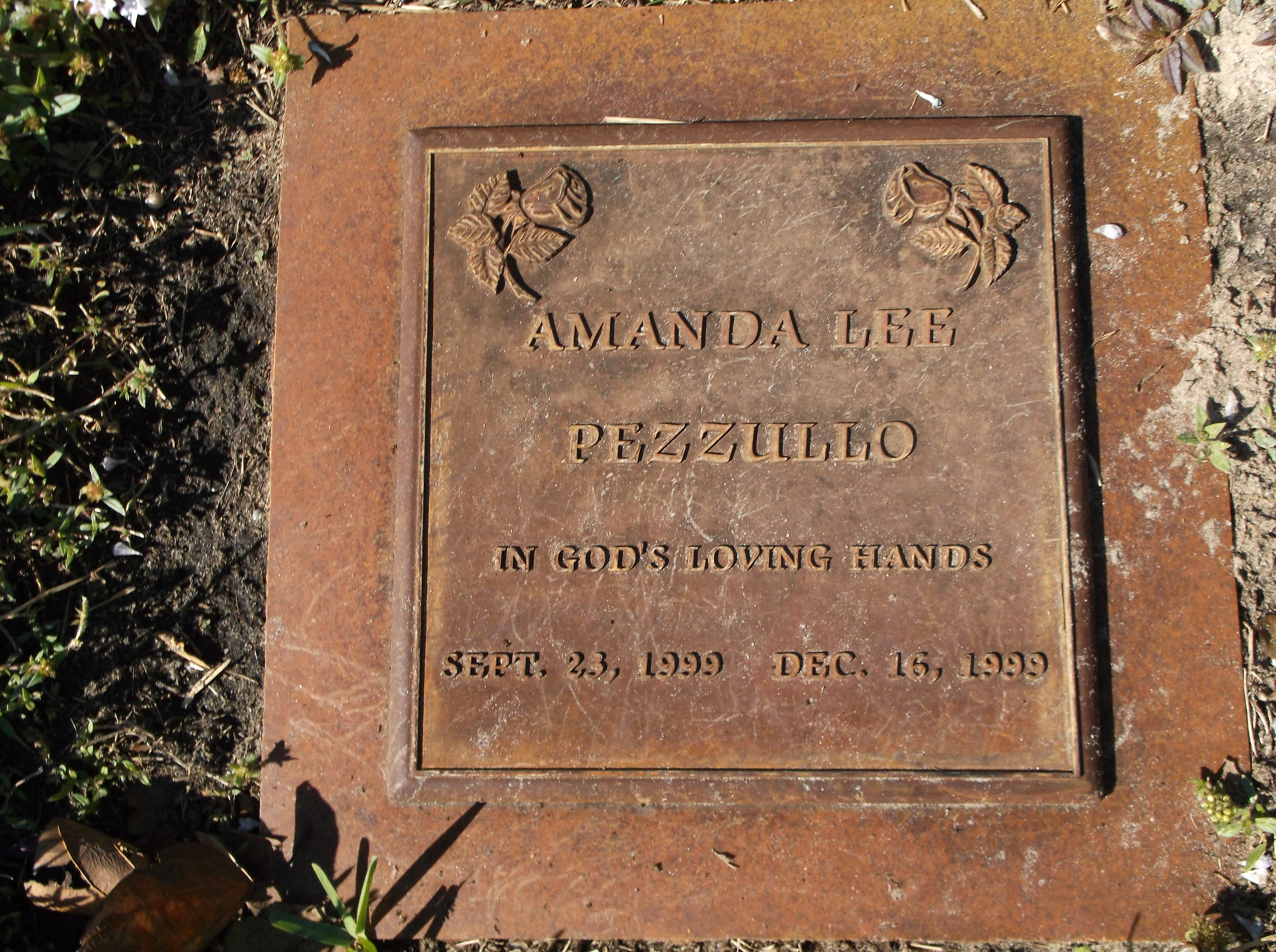 Amanda Lee Pezzullo