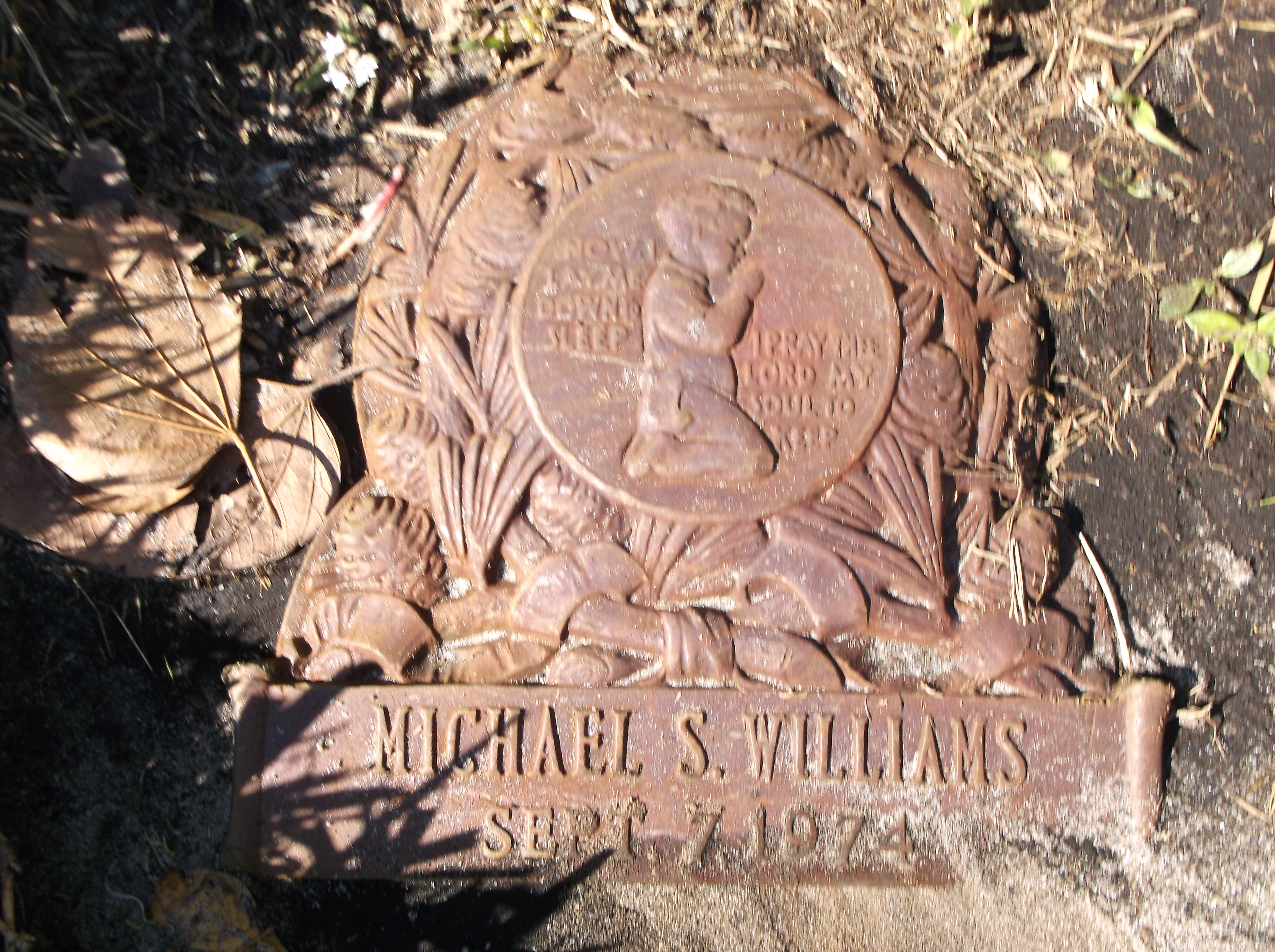 Michael S Williams