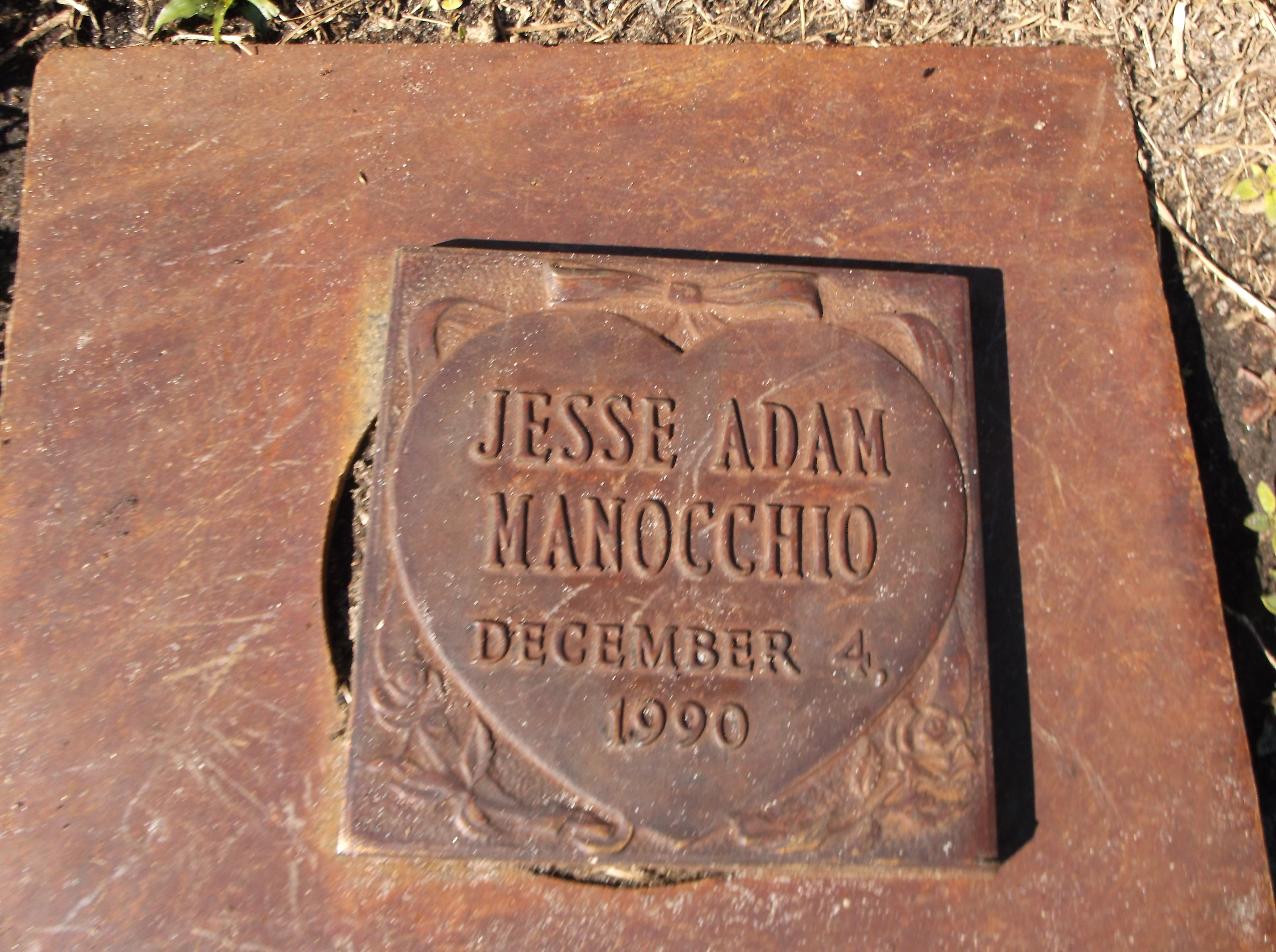 Jesse Adam Manocchio