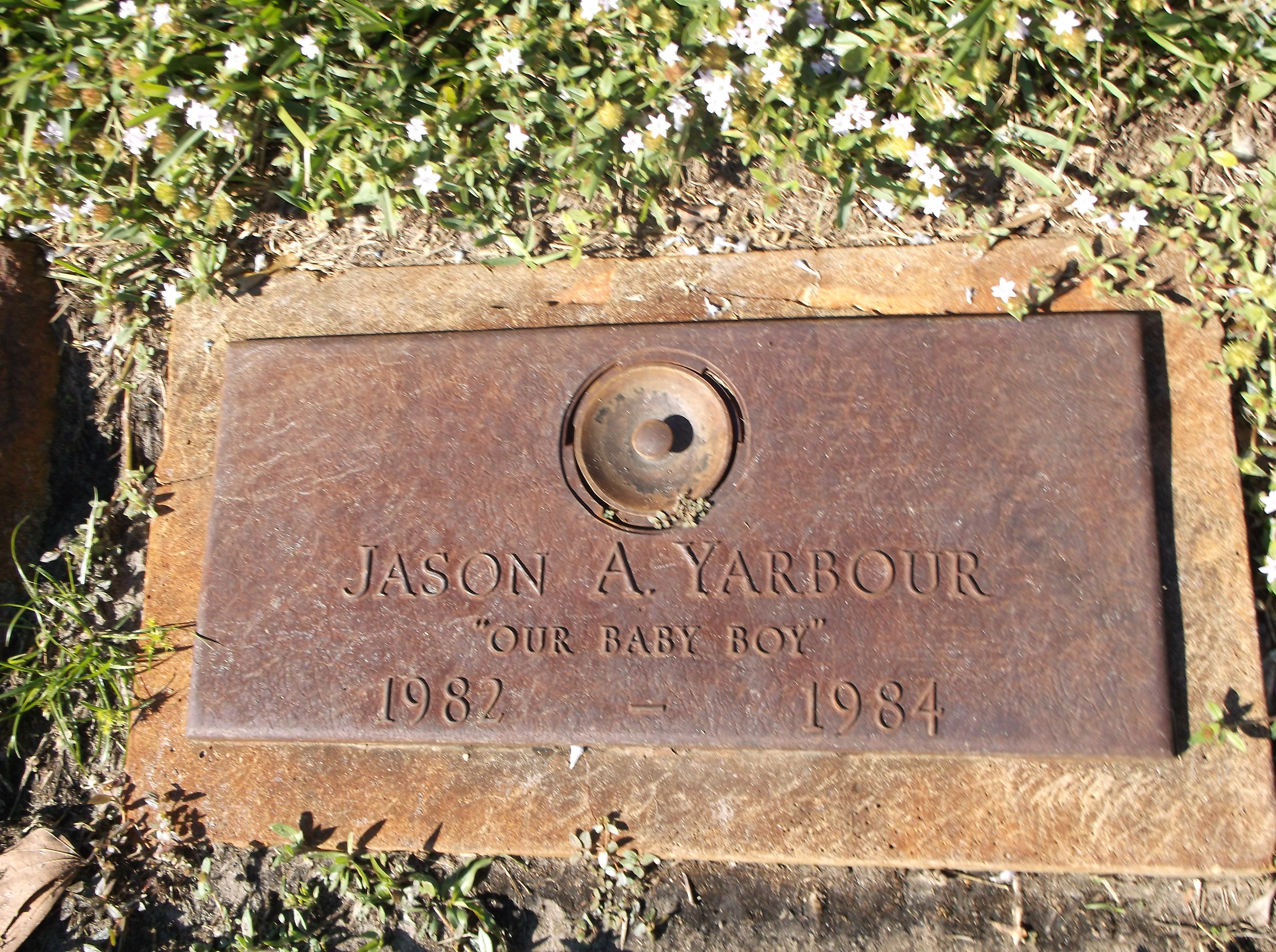 Jason A Yarbour