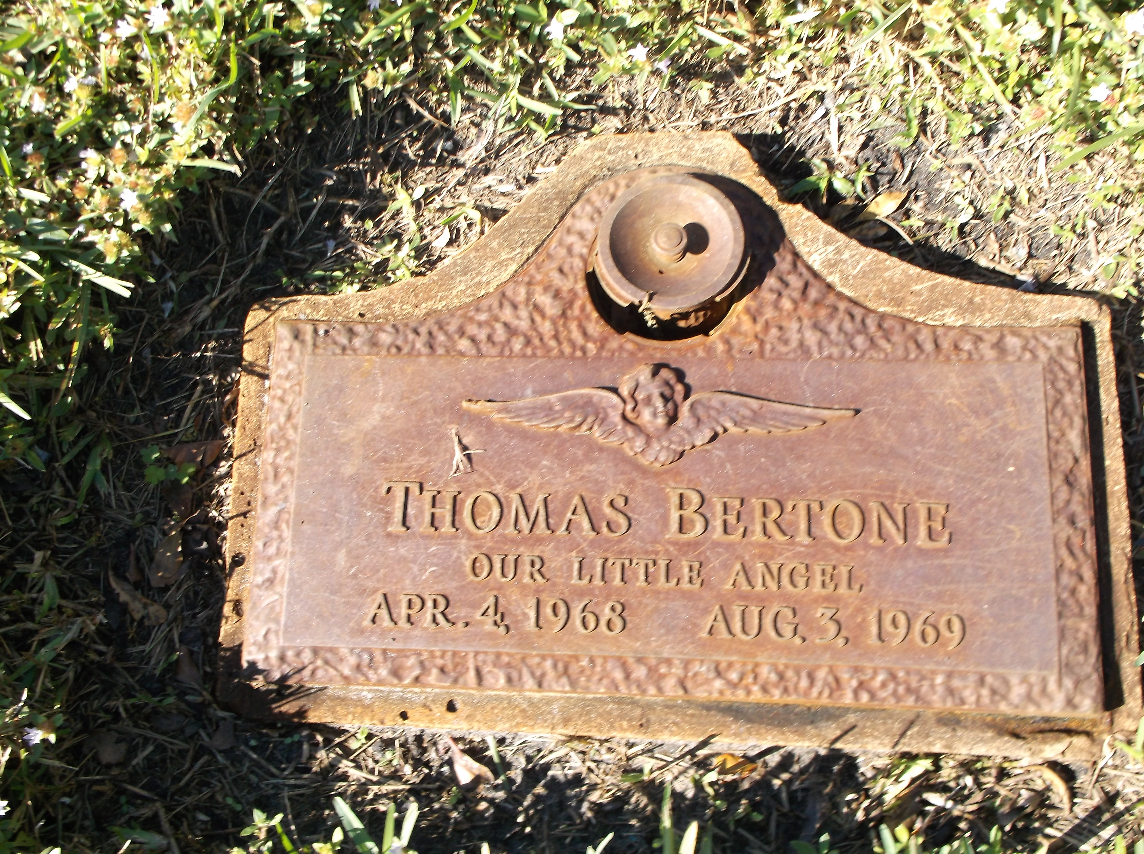 Thomas Bertone