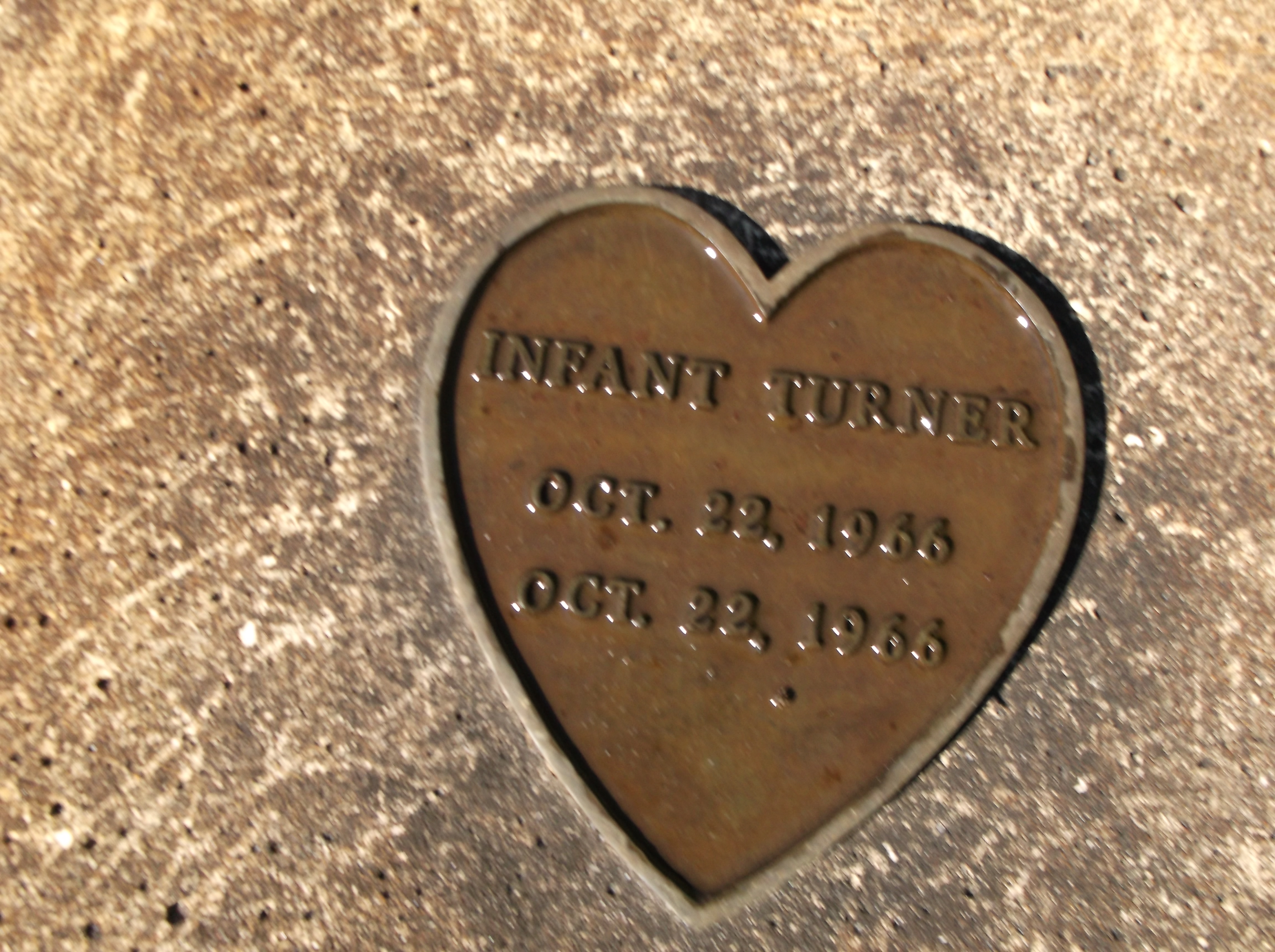 Infant Turner