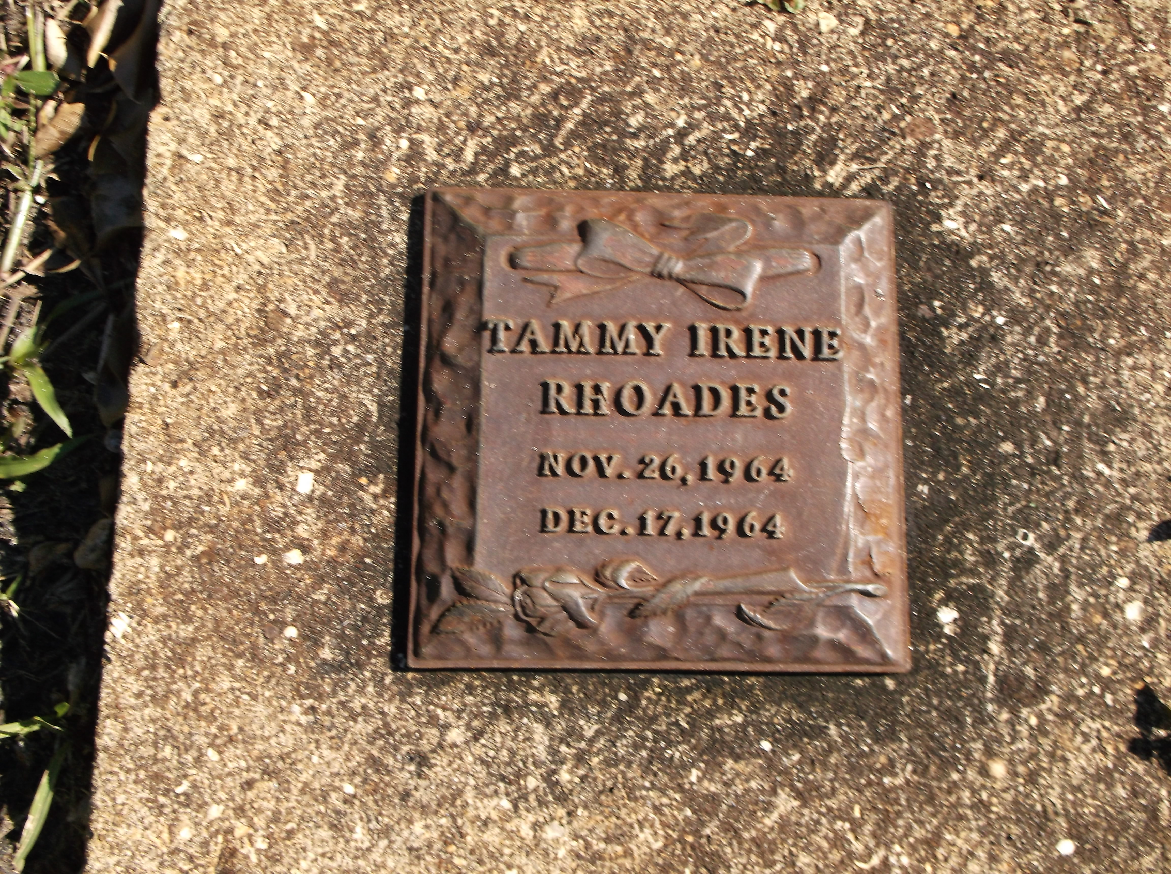 Tammy Irene Rhoades