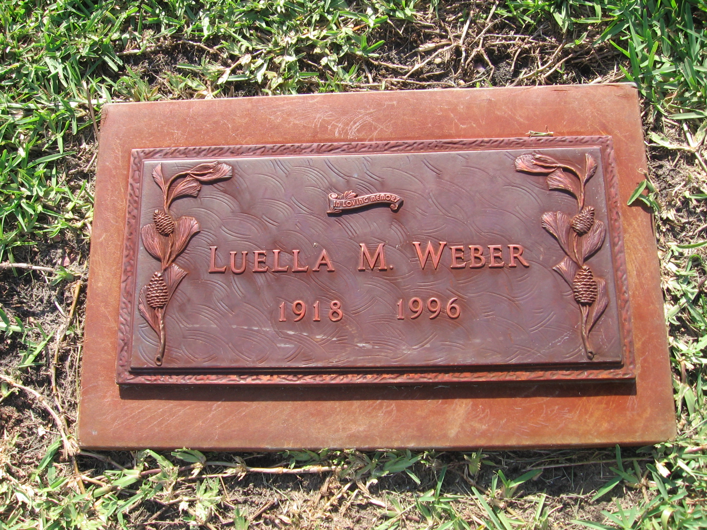 Luella M Weber