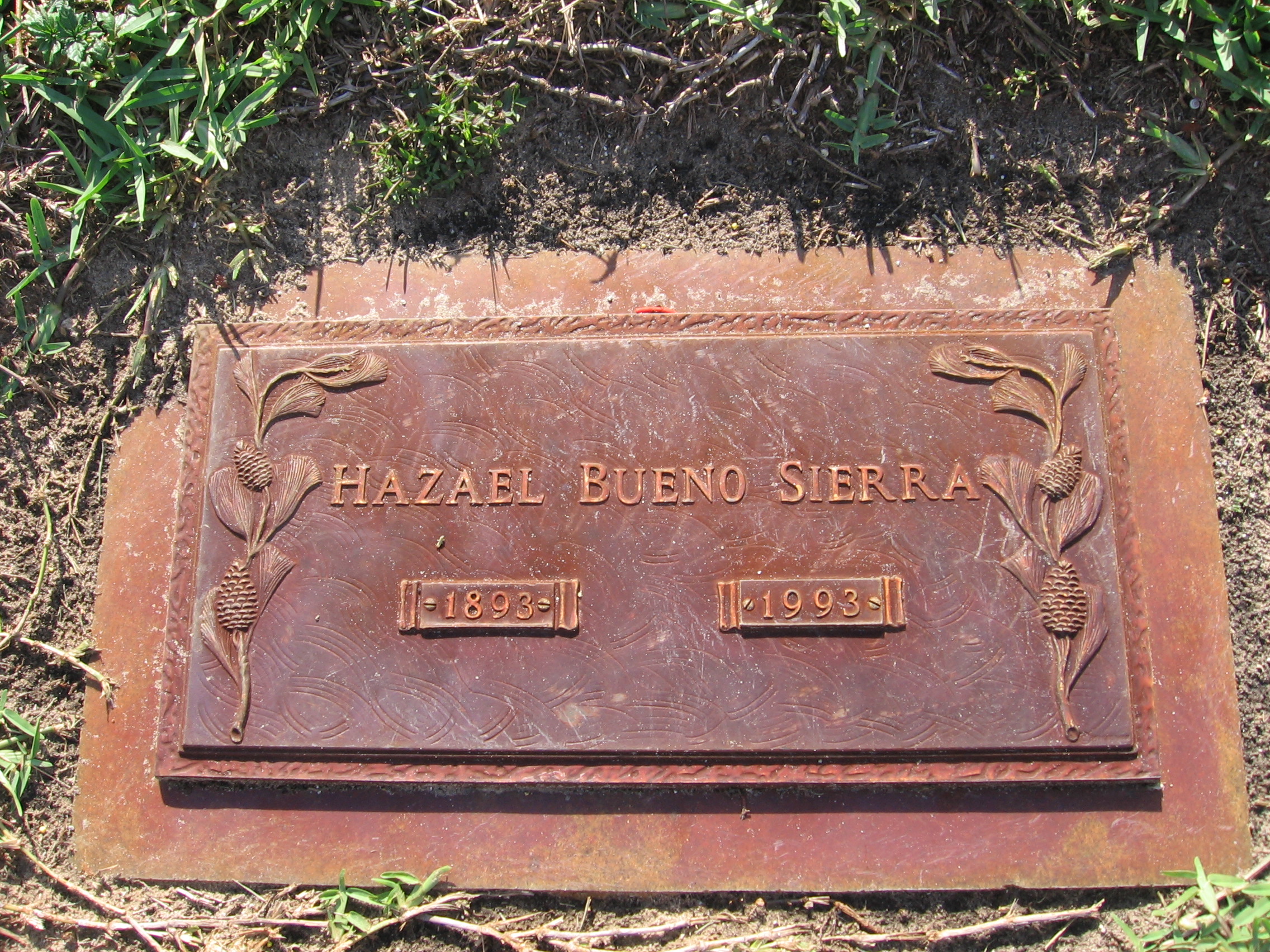Hazael Bueno Sierra