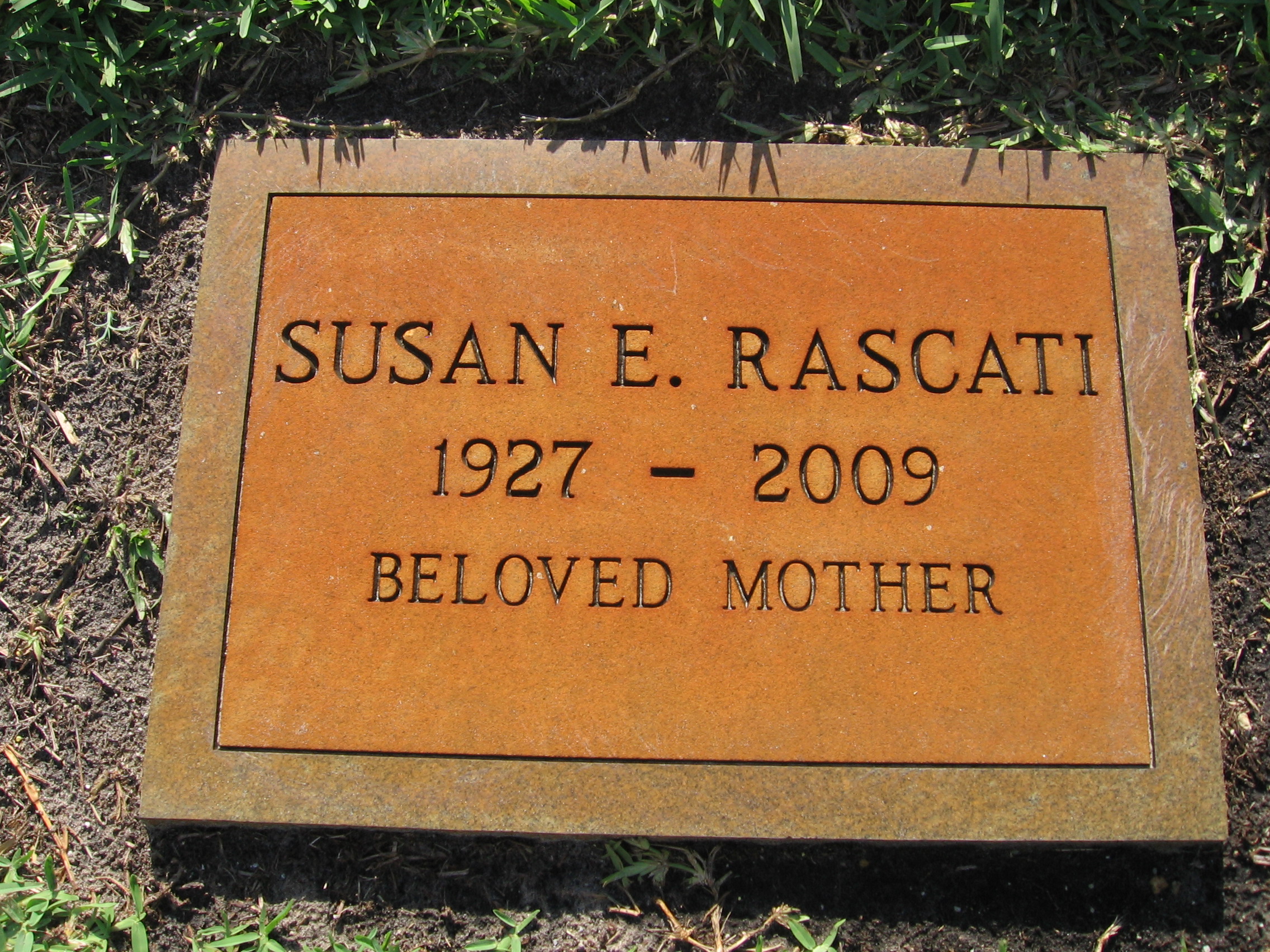 Susan E Rascati