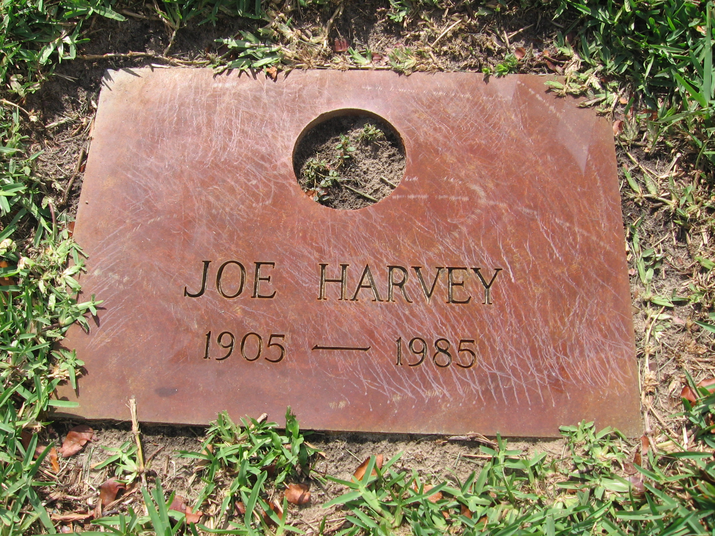 Joe Harvey