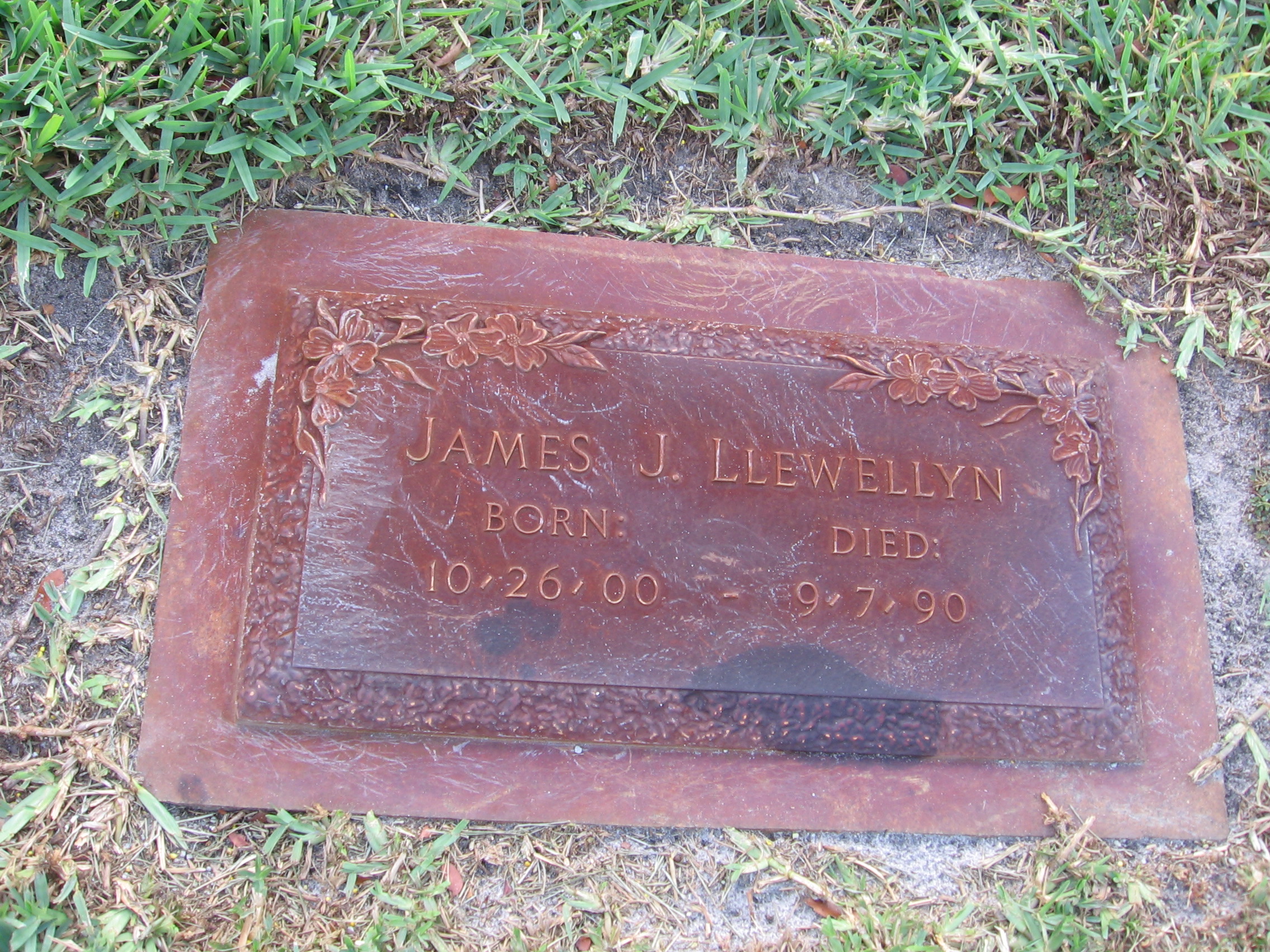 James J Llewellyn