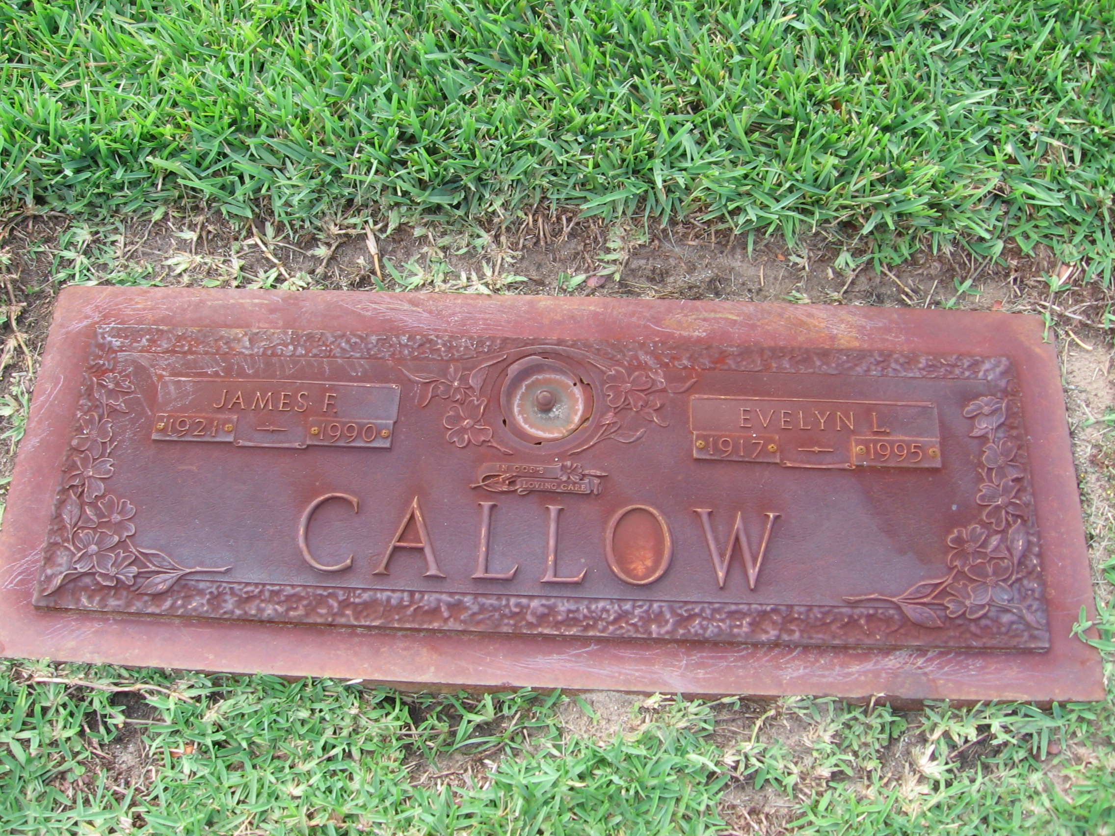 Evelyn L Callow