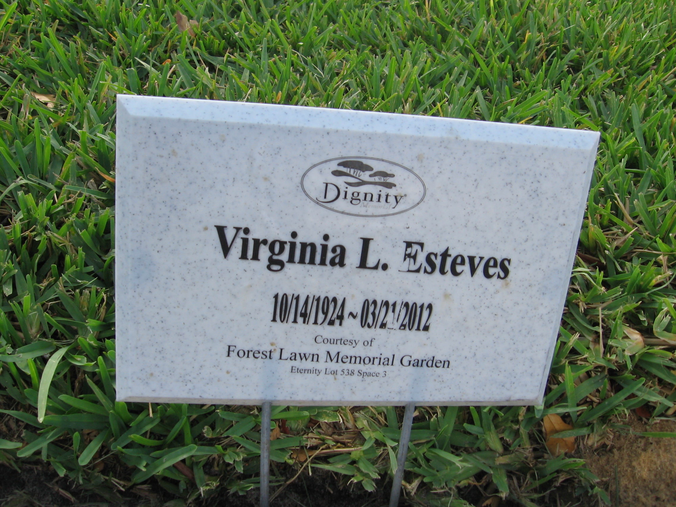 Virginia L Esteves