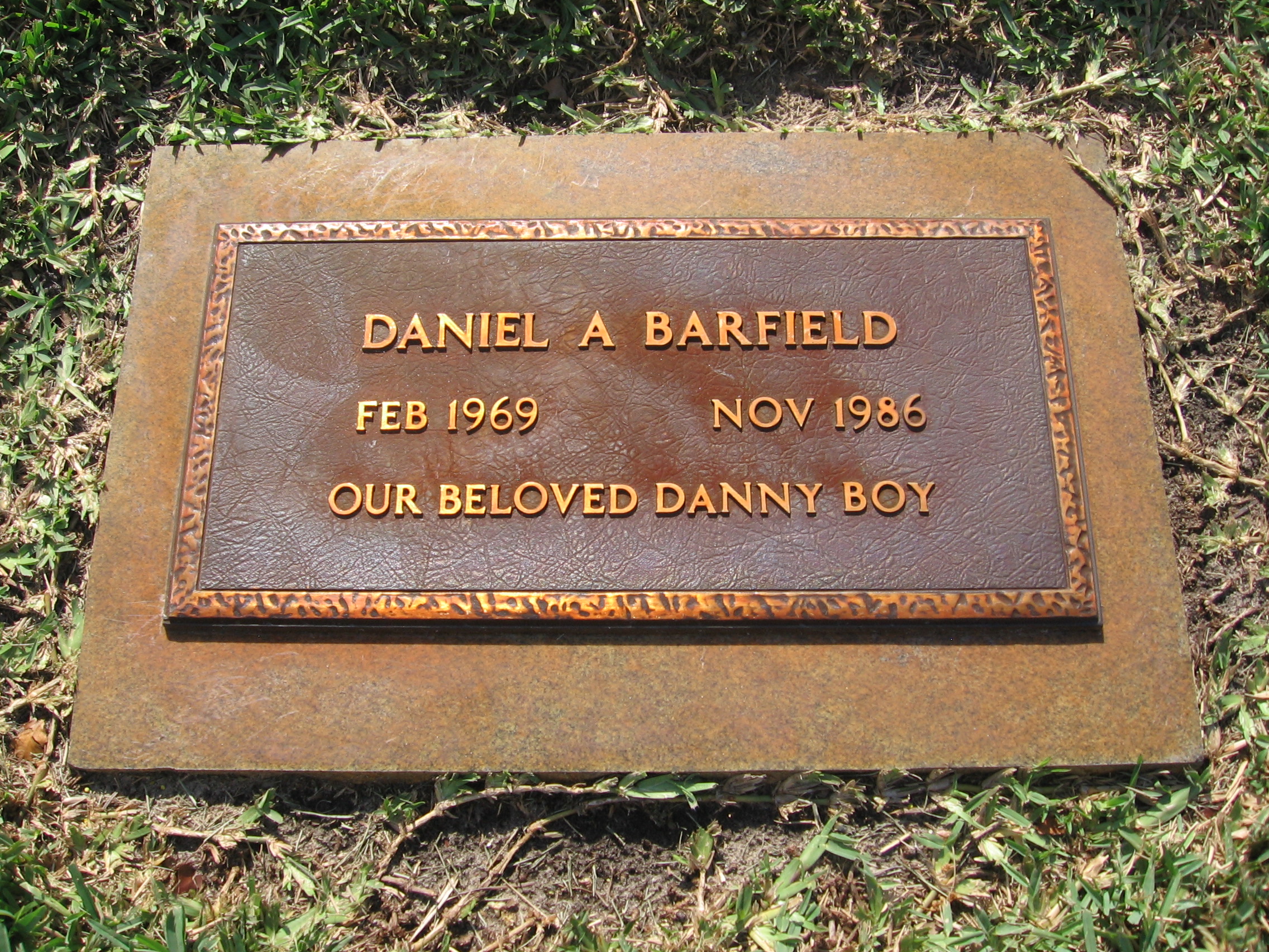 Daniel A Barfield