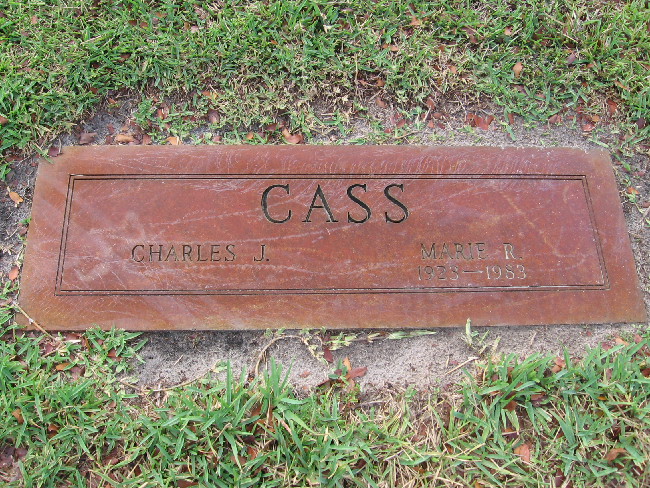 Charles J Cass