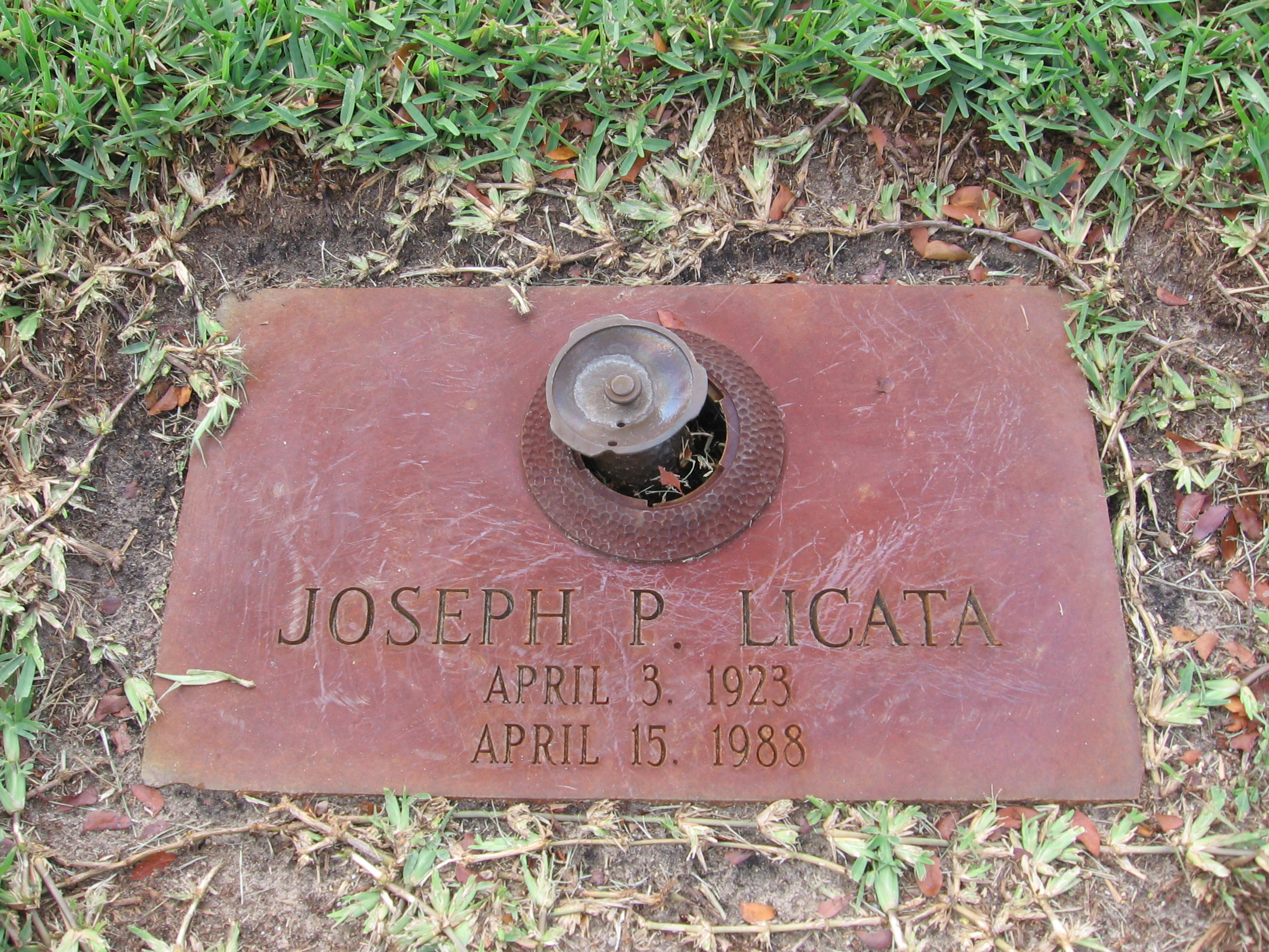 Joseph P Licata