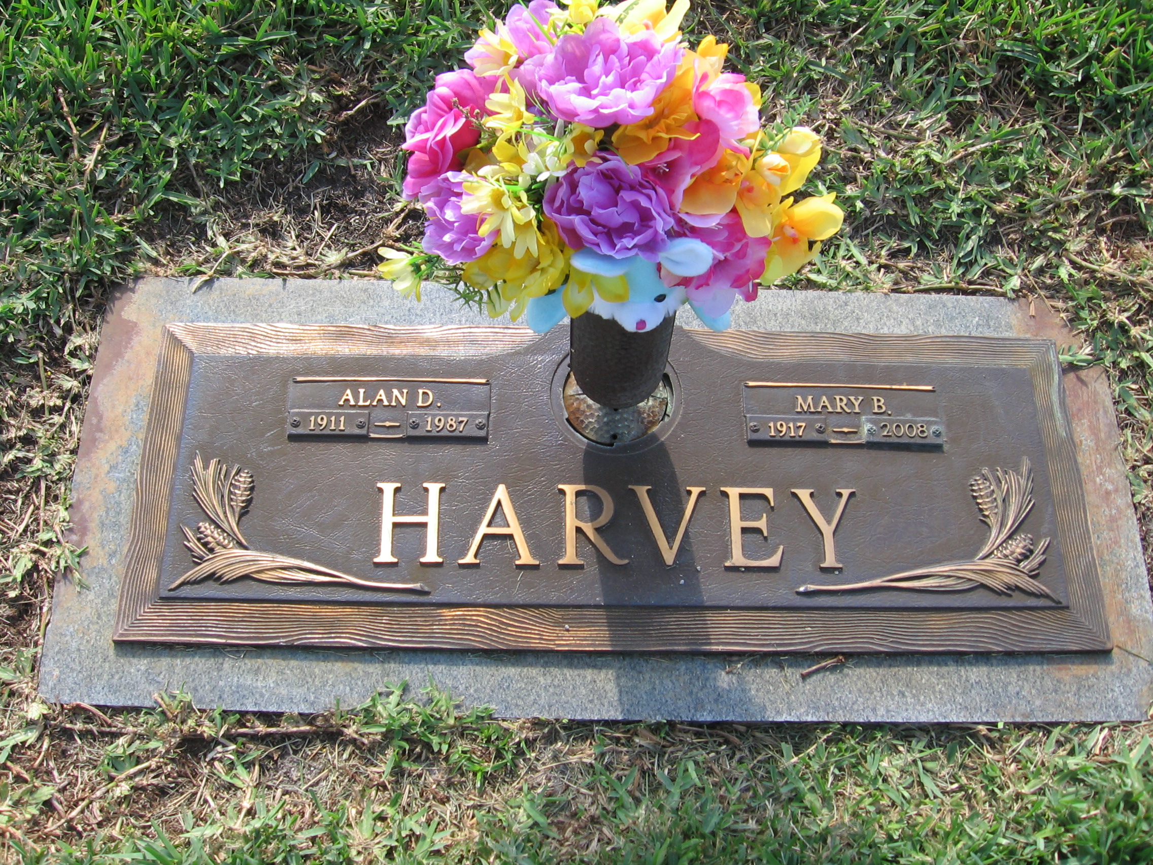 Mary B Harvey