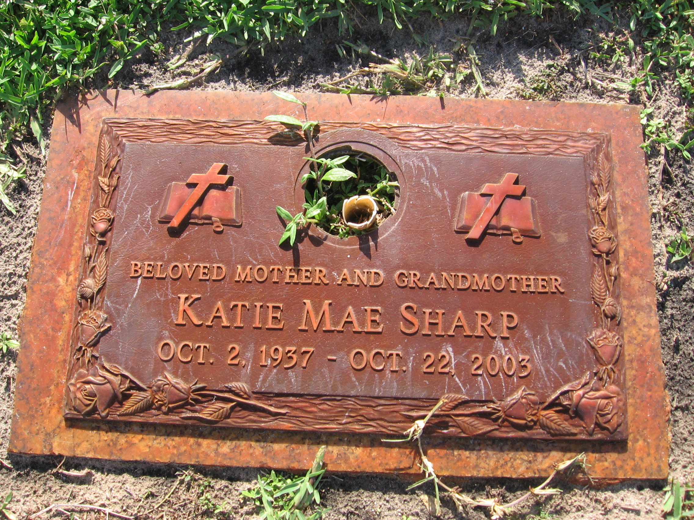 Katie Mae Sharp