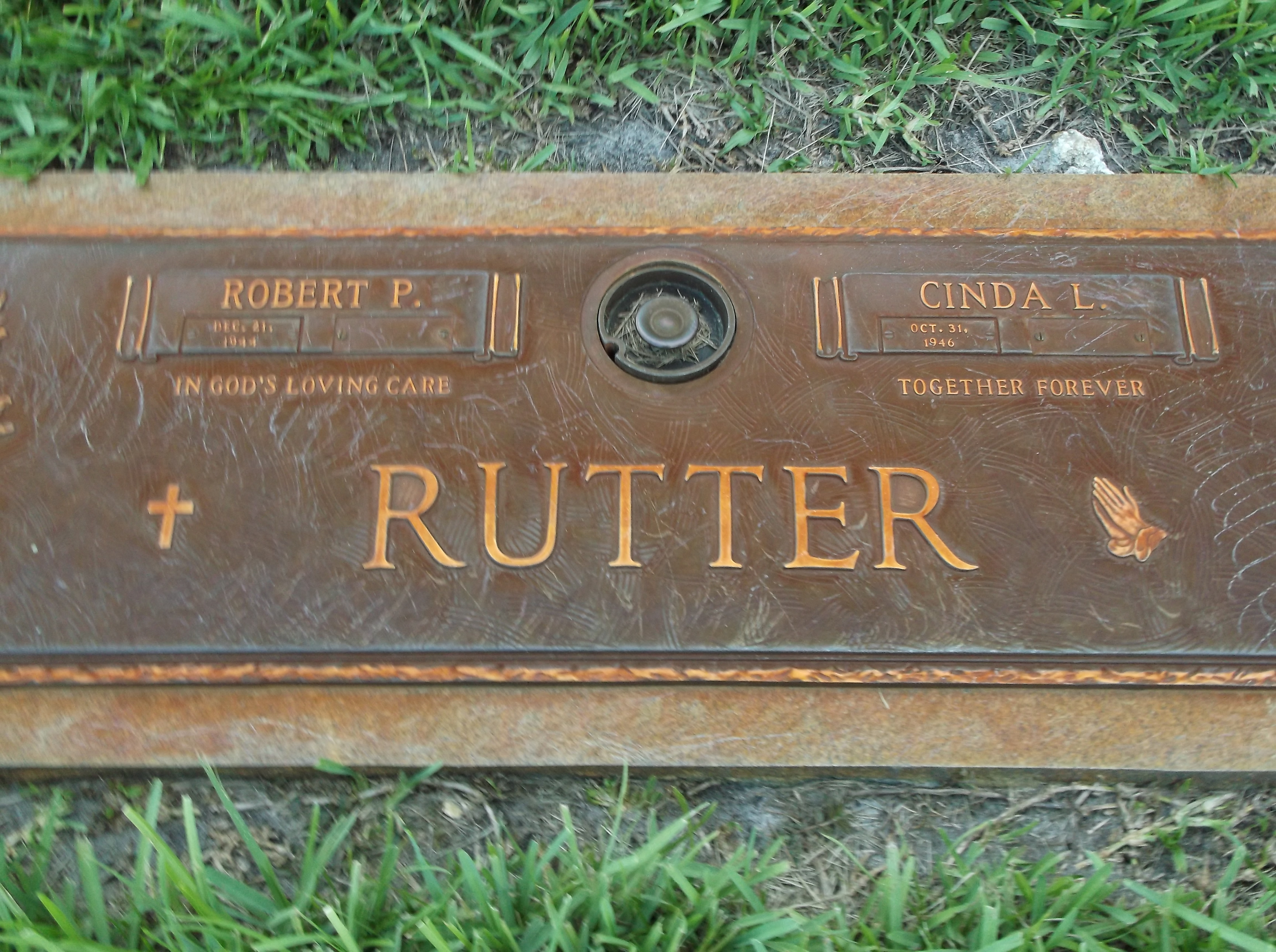 Robert P Rutter