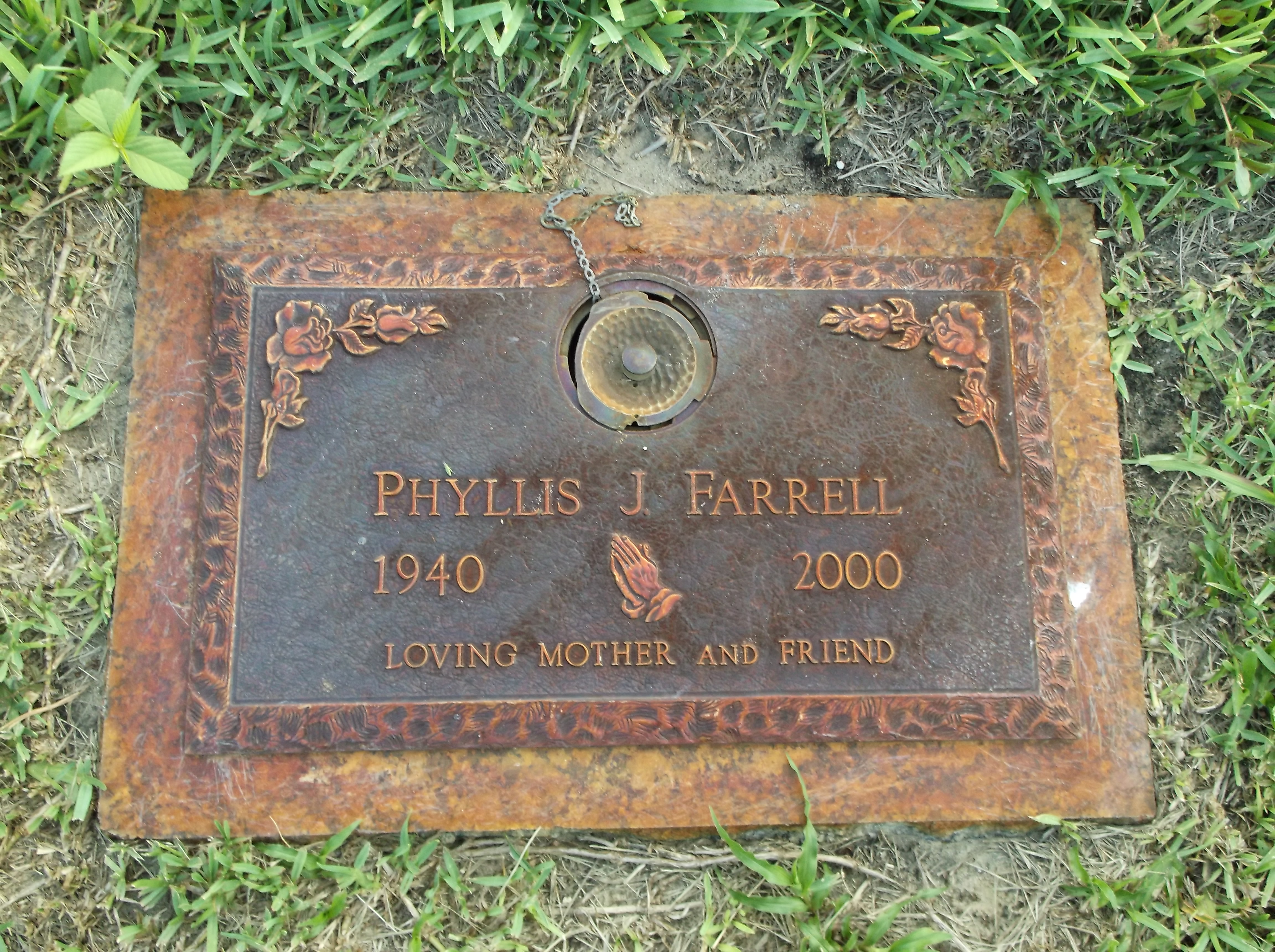 Phyllis J Farrell