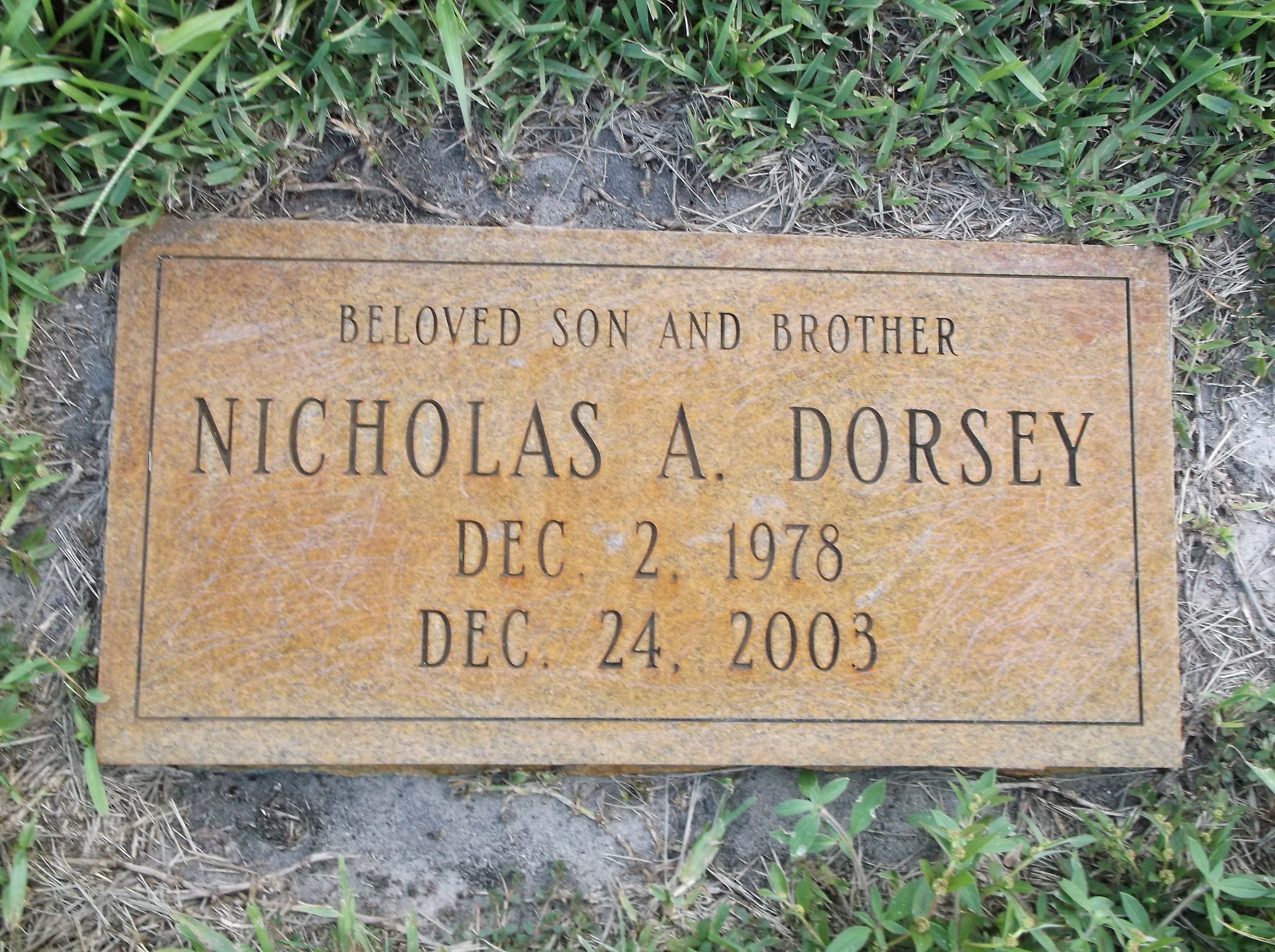 Nicholas A Dorsey