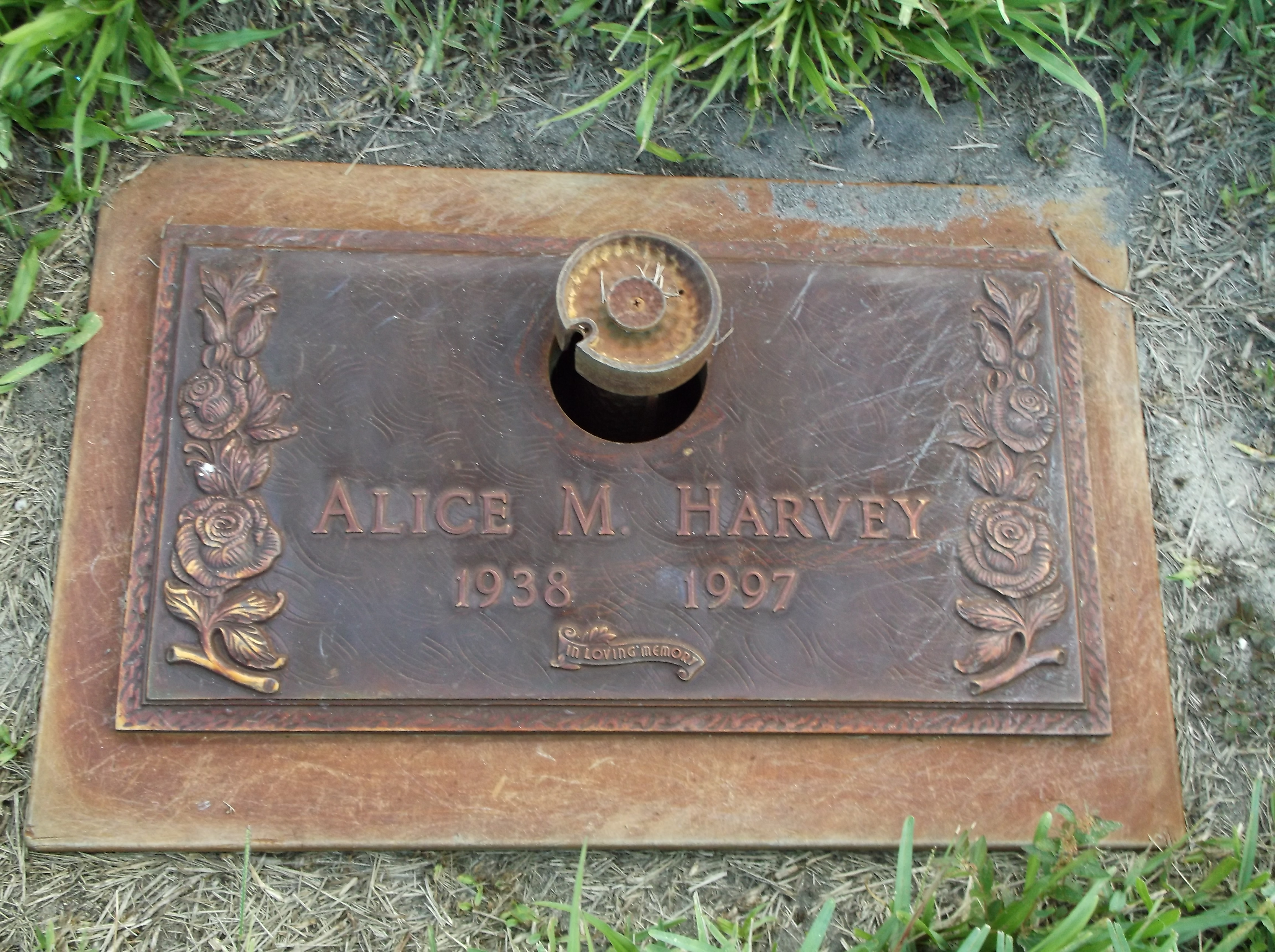 Alice M Harvey