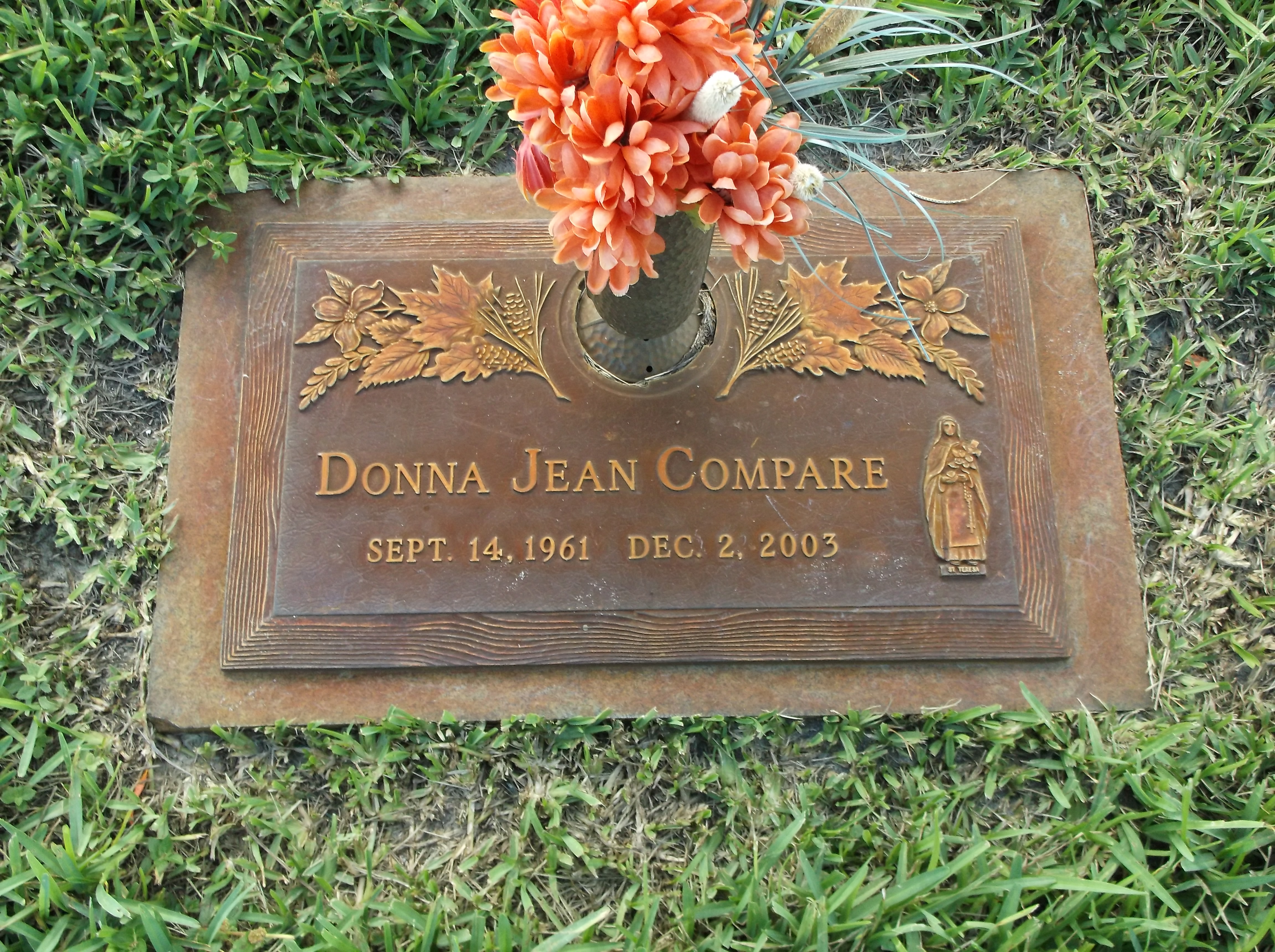 Donna Jean Compare