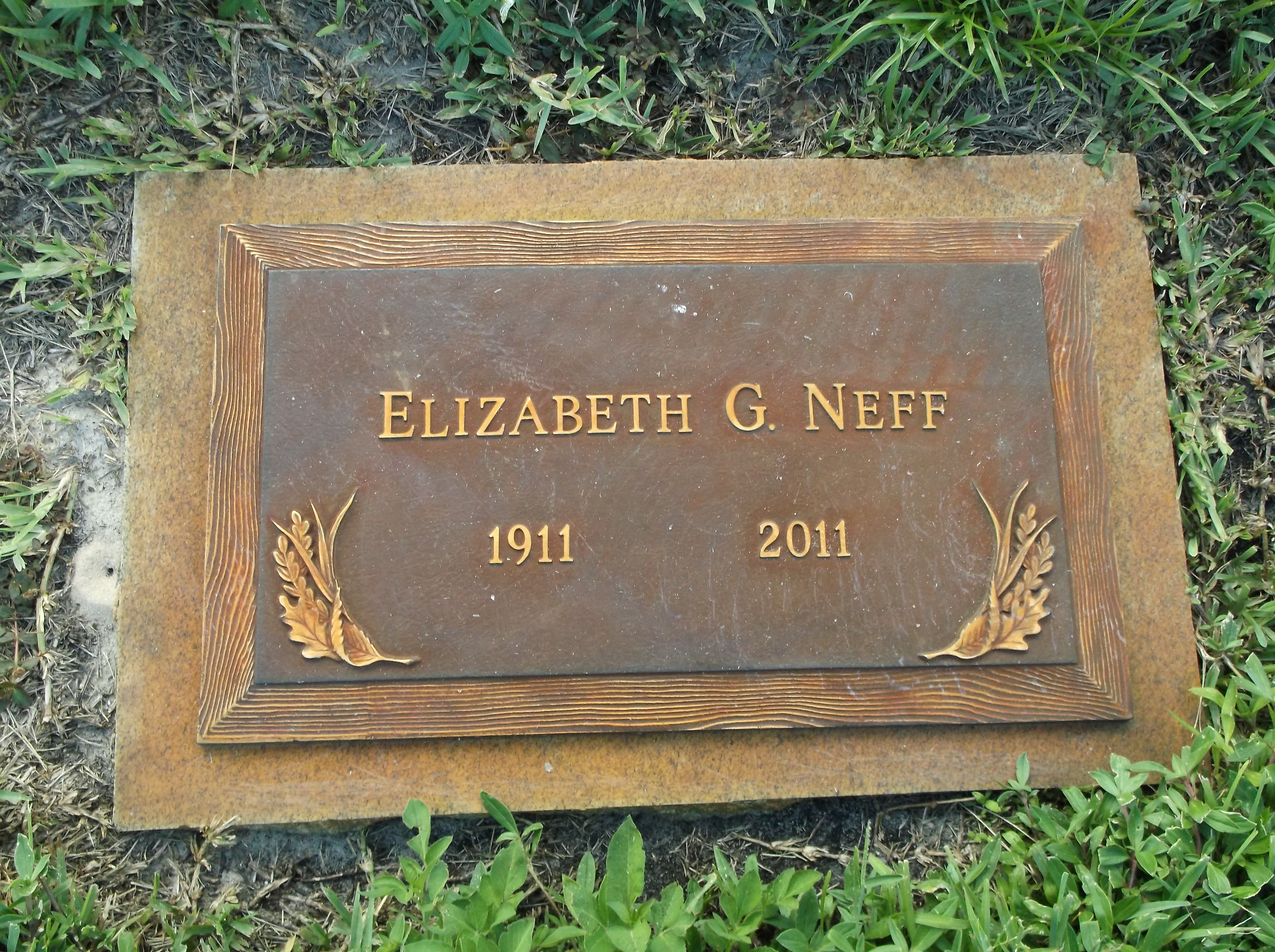 Elizabeth G Neff