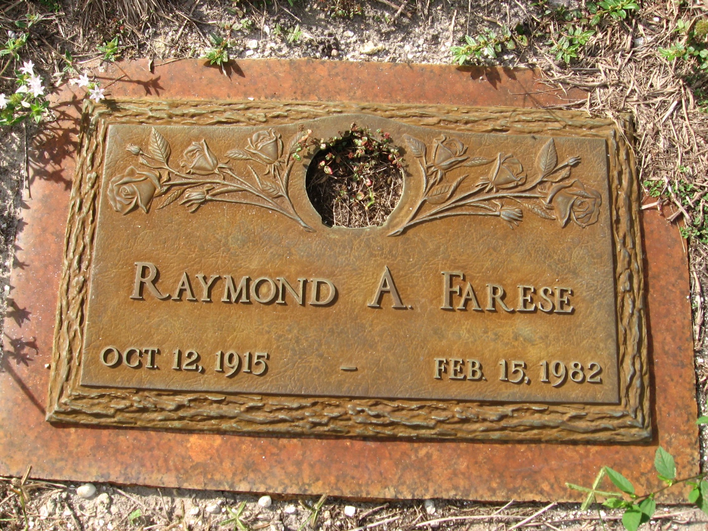 Raymond A Farese