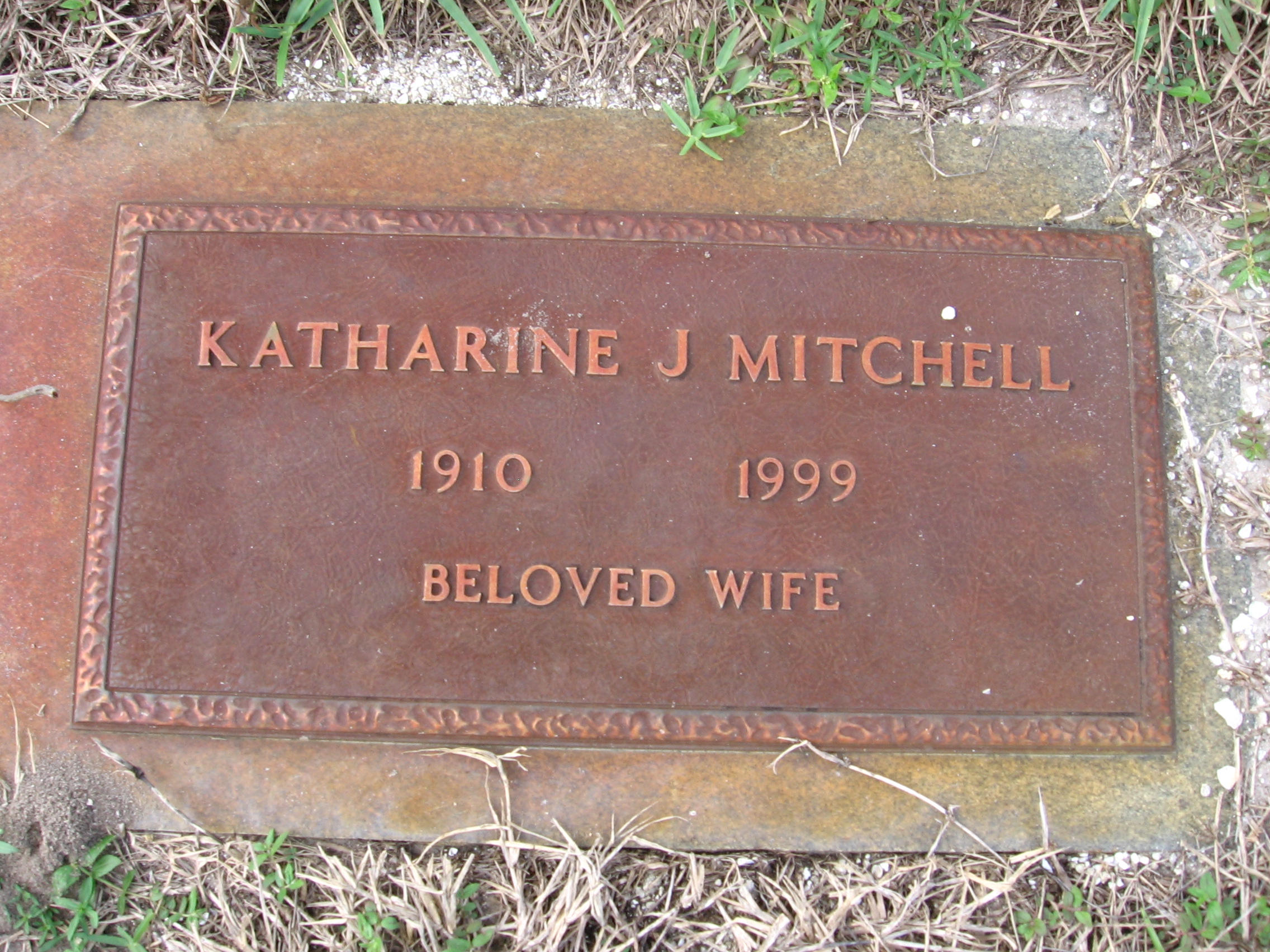 Katharine J Mitchell