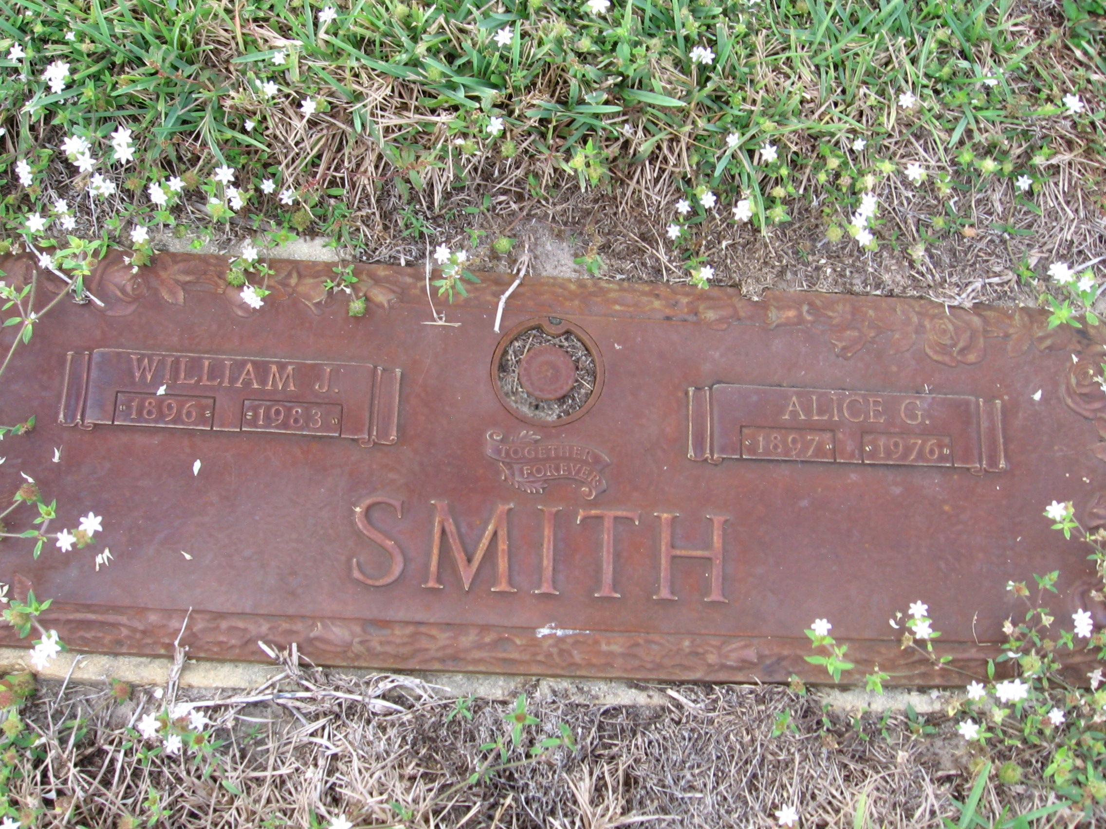 William J Smith