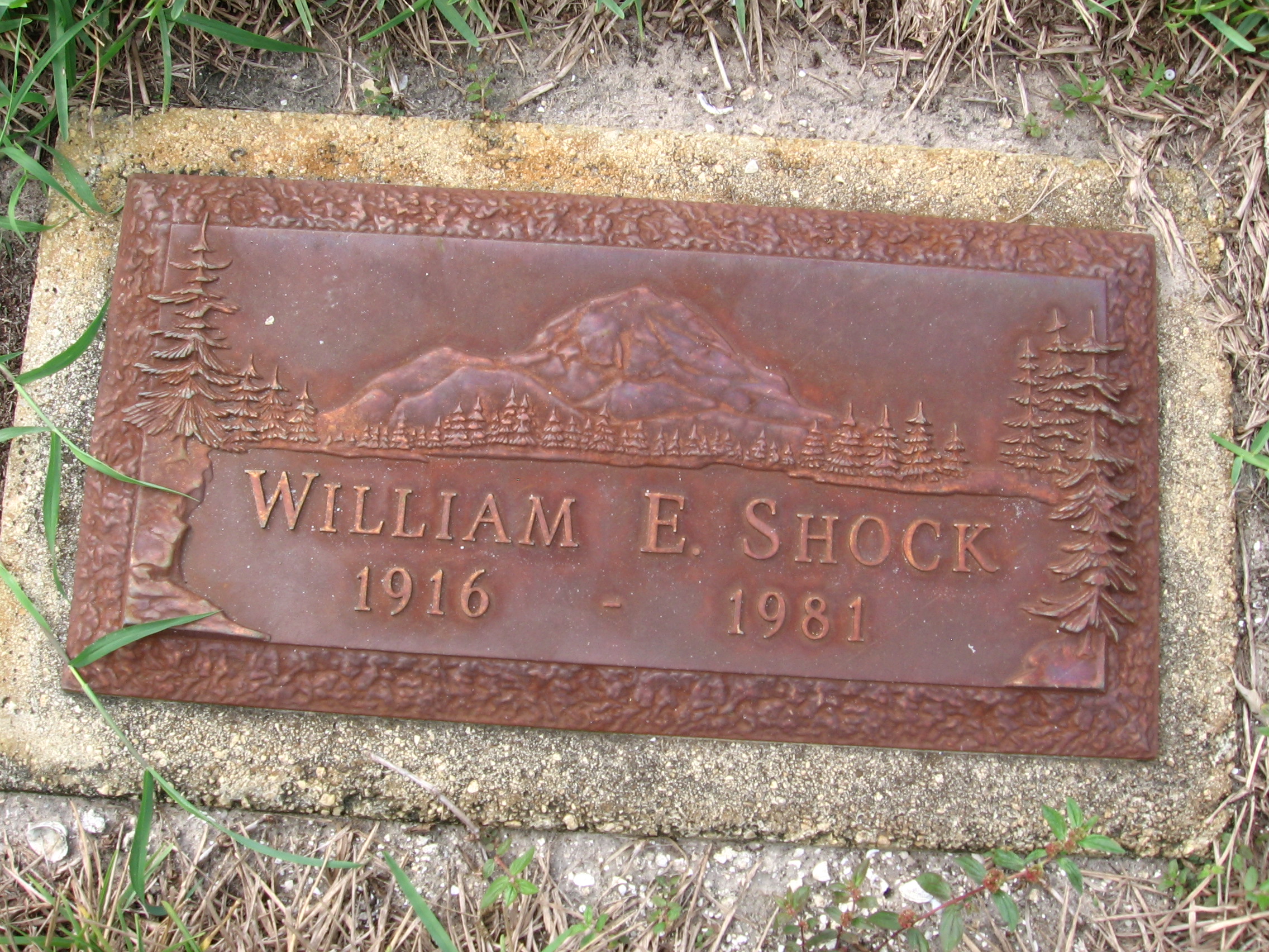 William E Shock