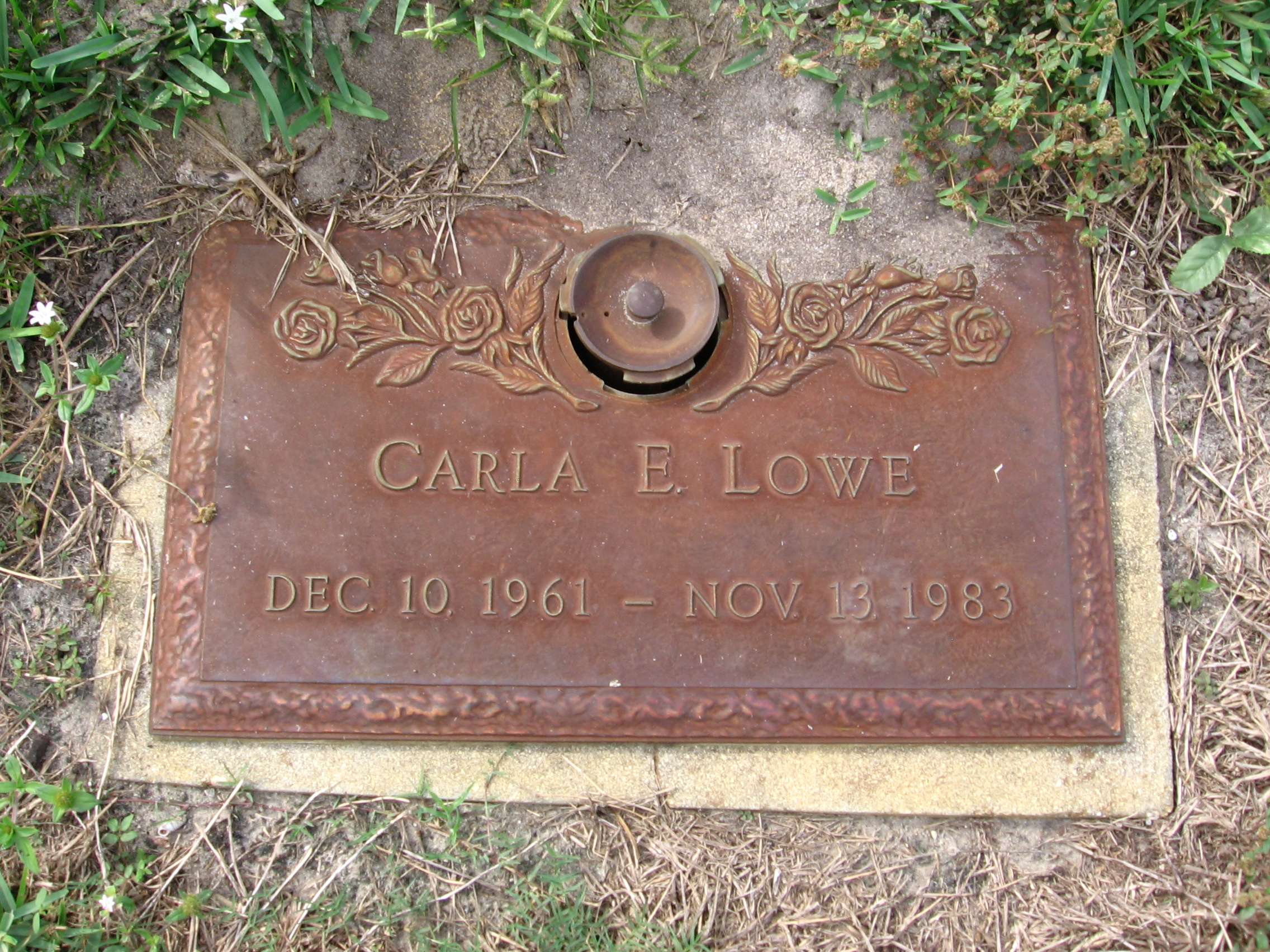 Carla E Lowe