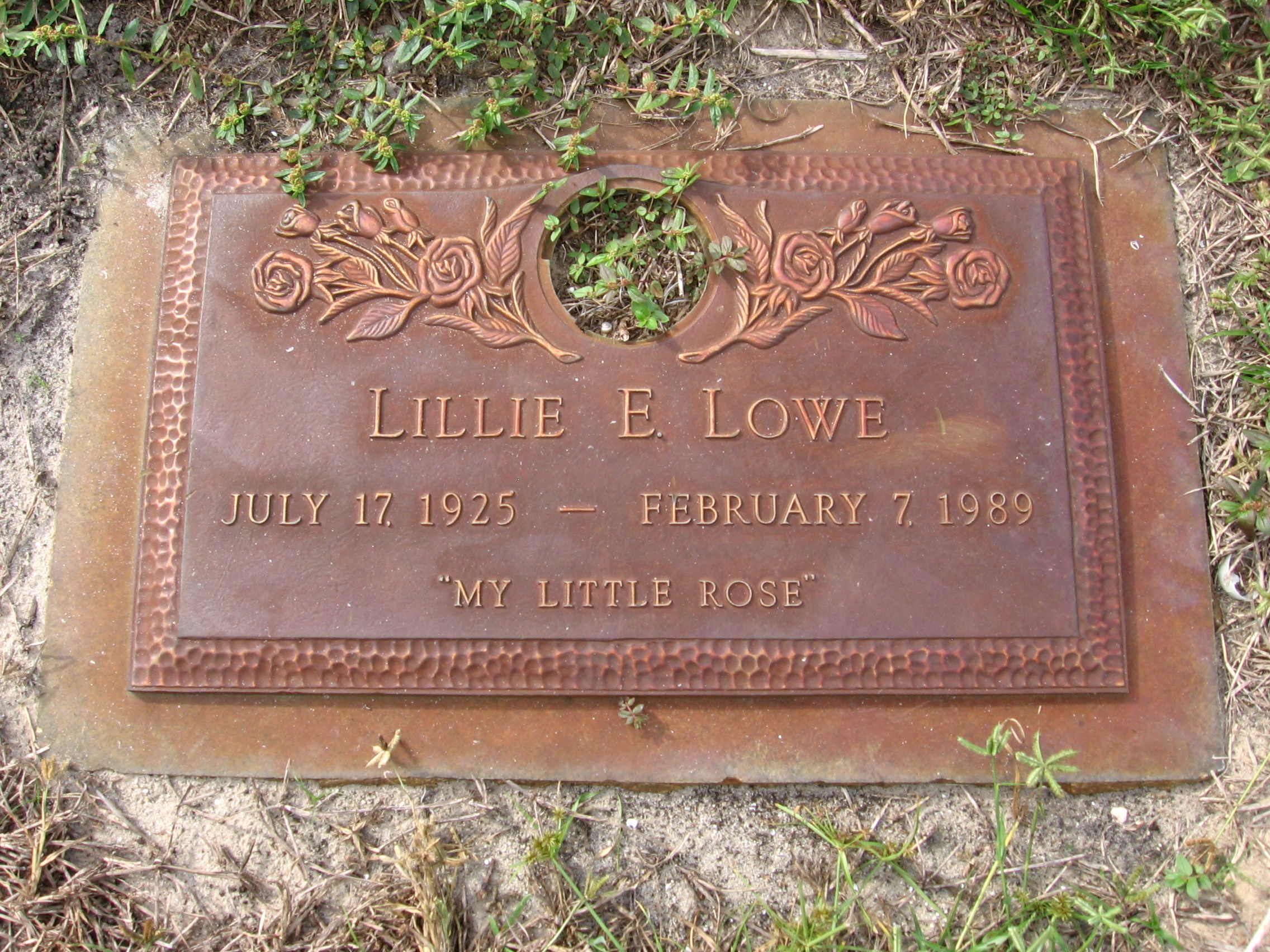 Lillie E Lowe