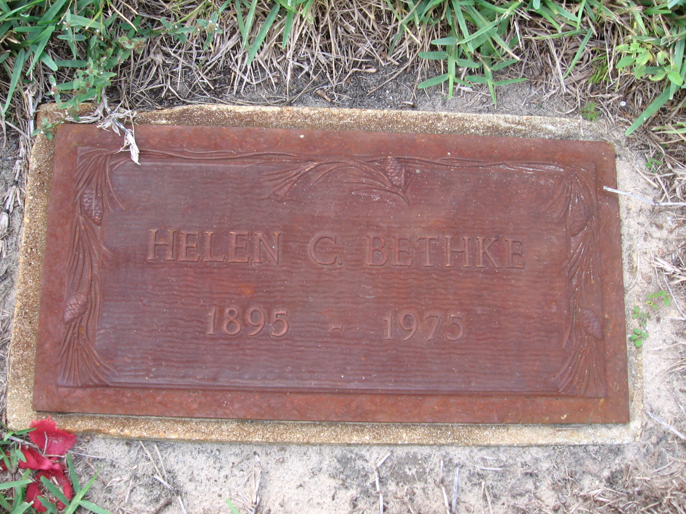 Helen C Bethke