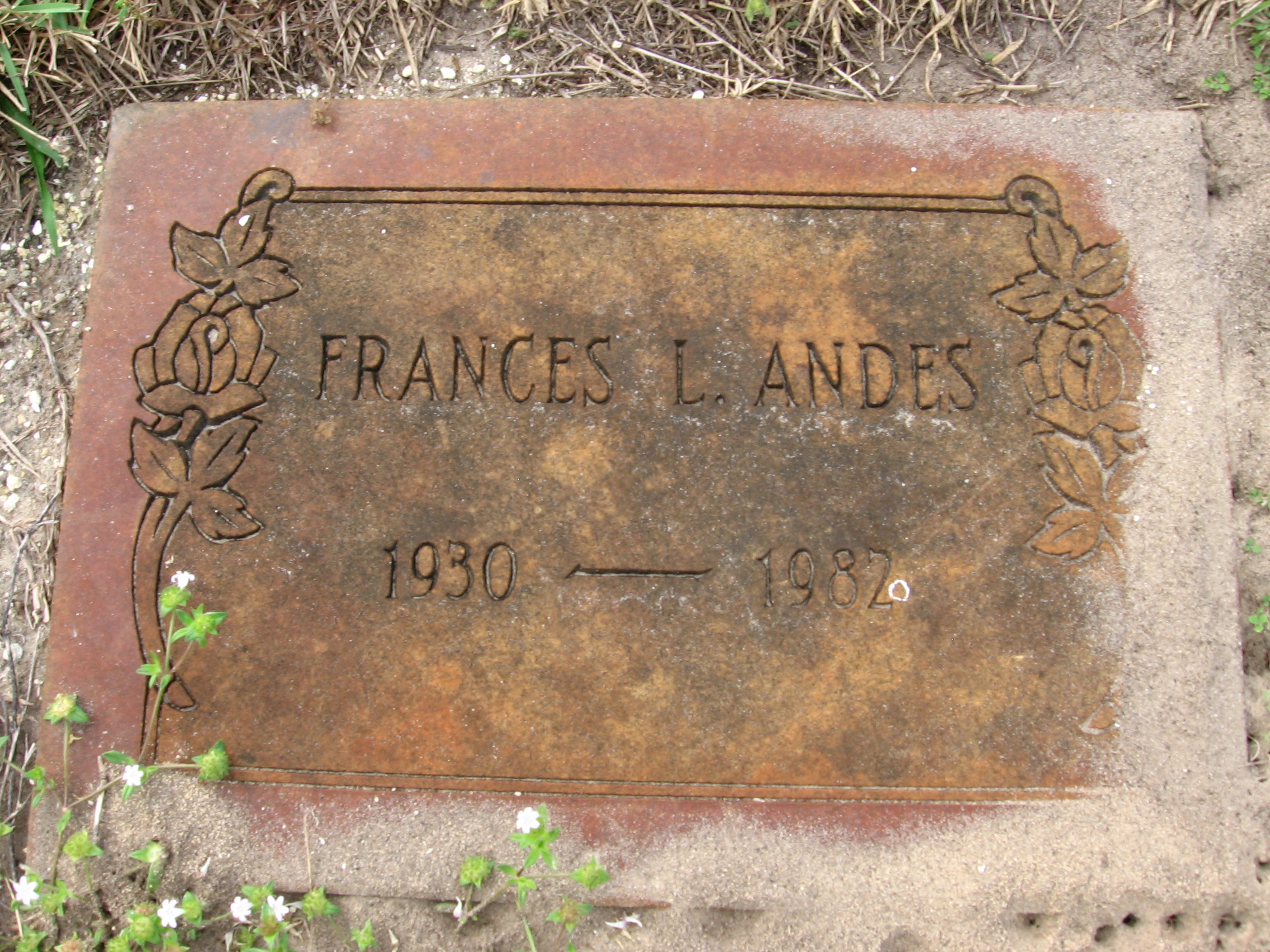 Frances L Andes
