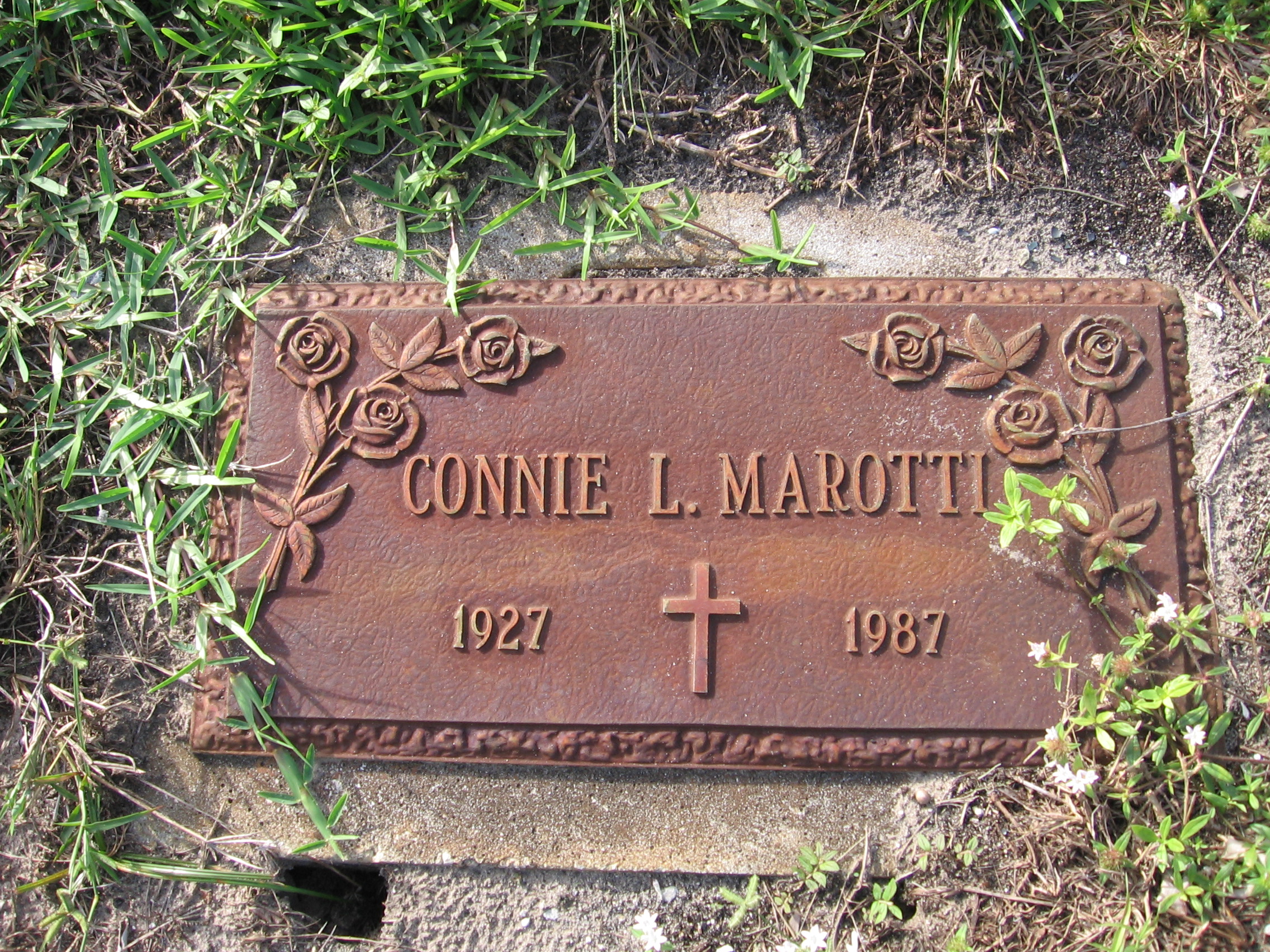Connie L Marotti