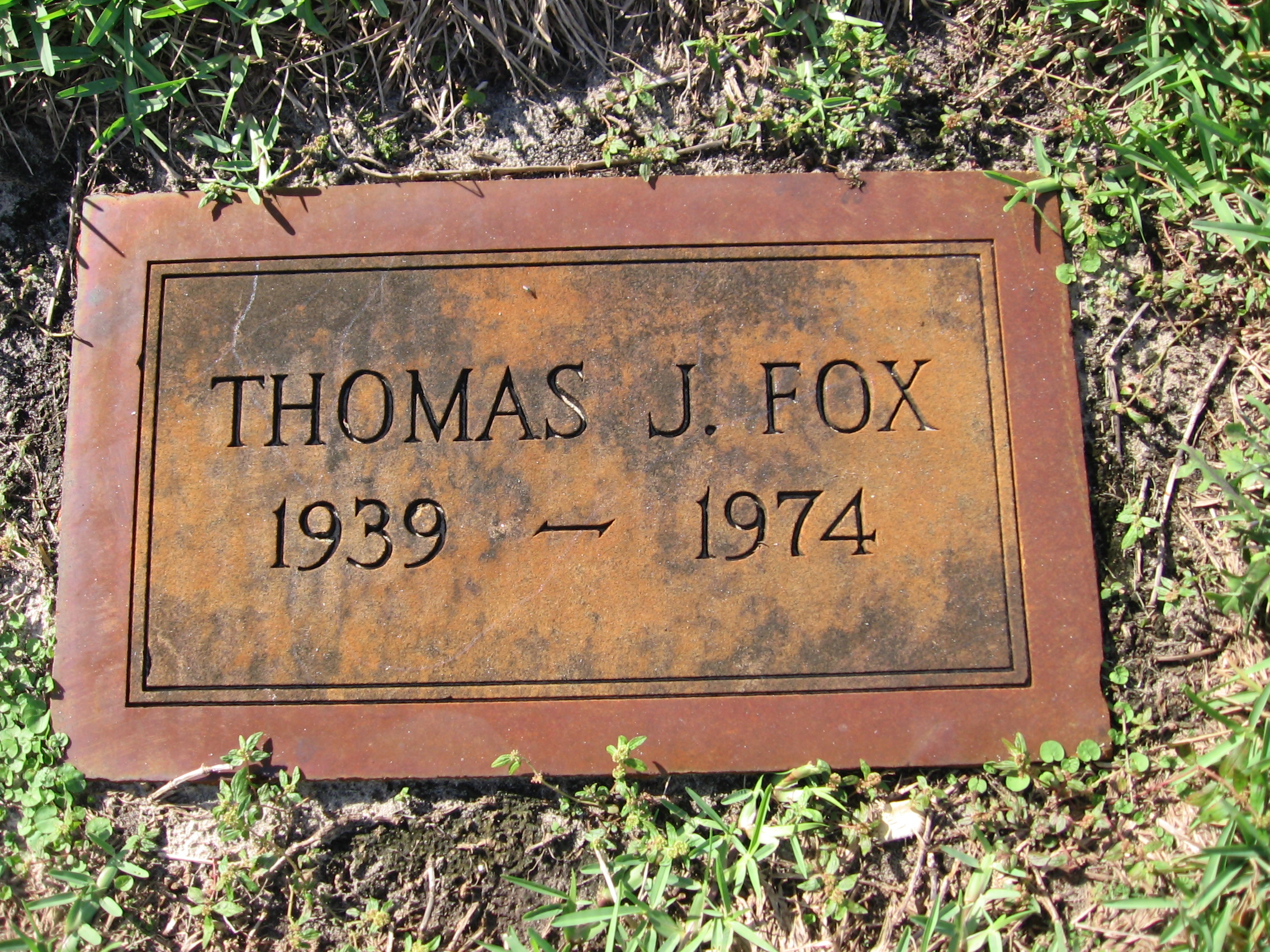Thomas J Fox