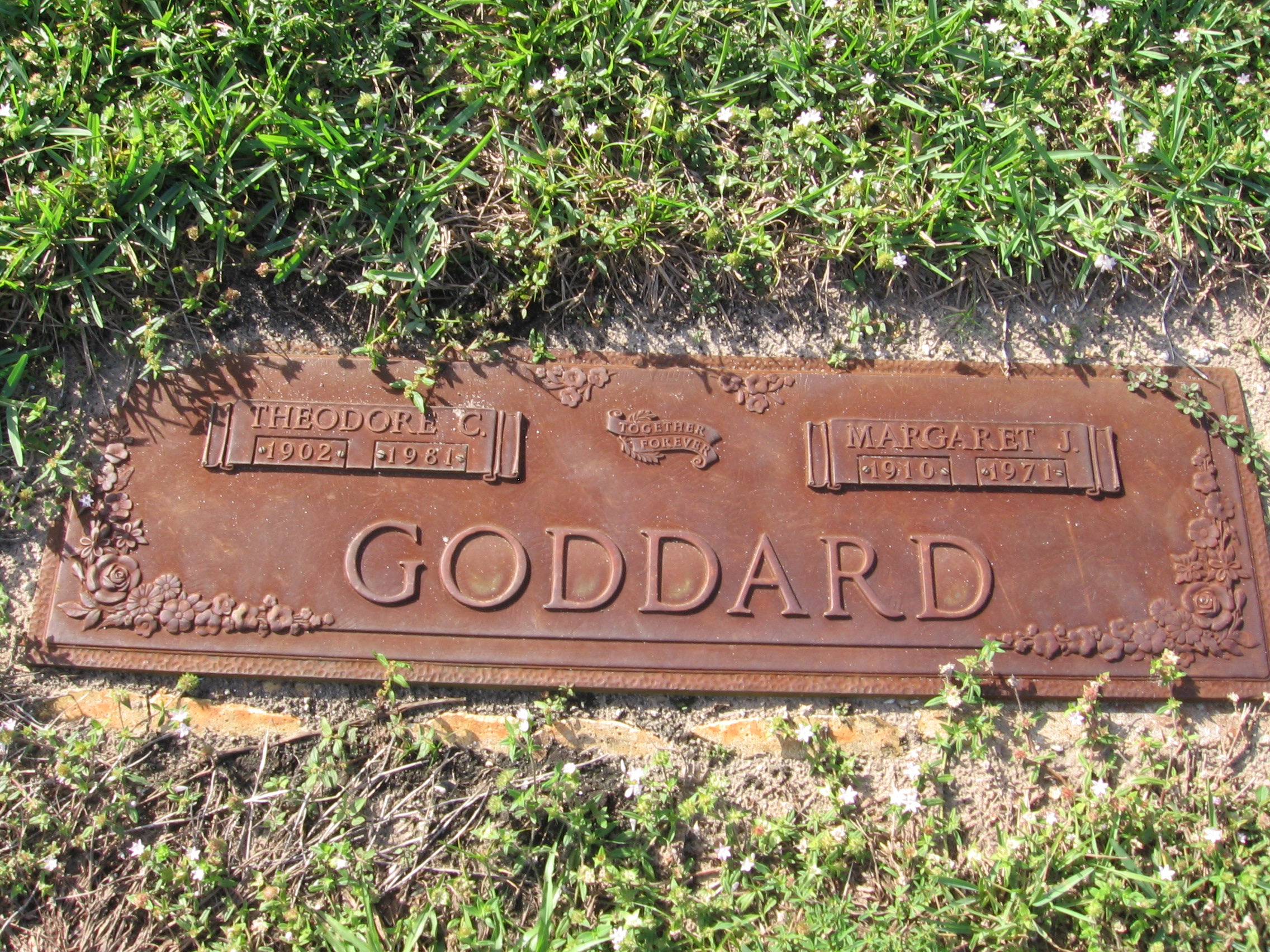 Theodore C Goddard