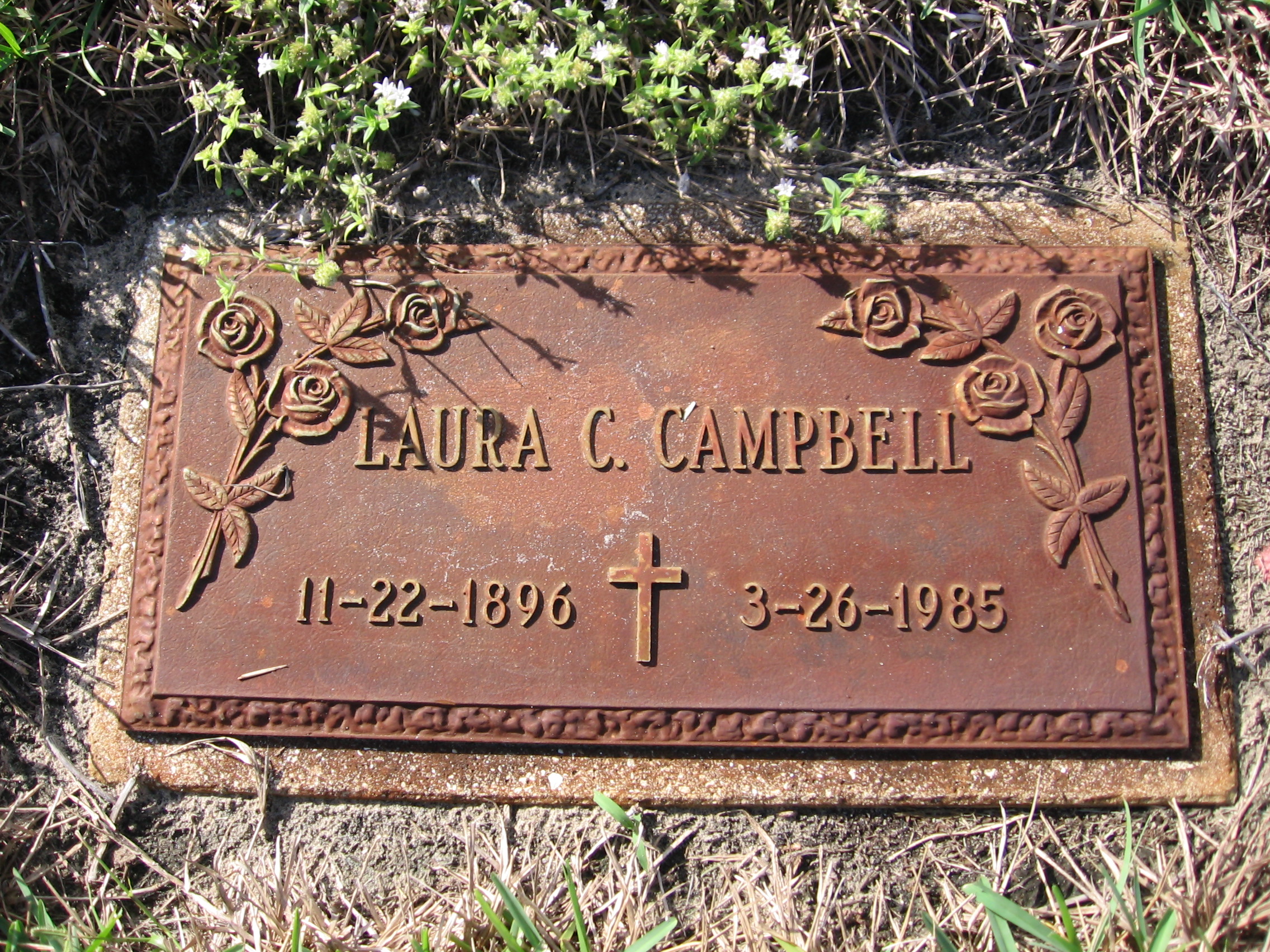 Laura C Campbell