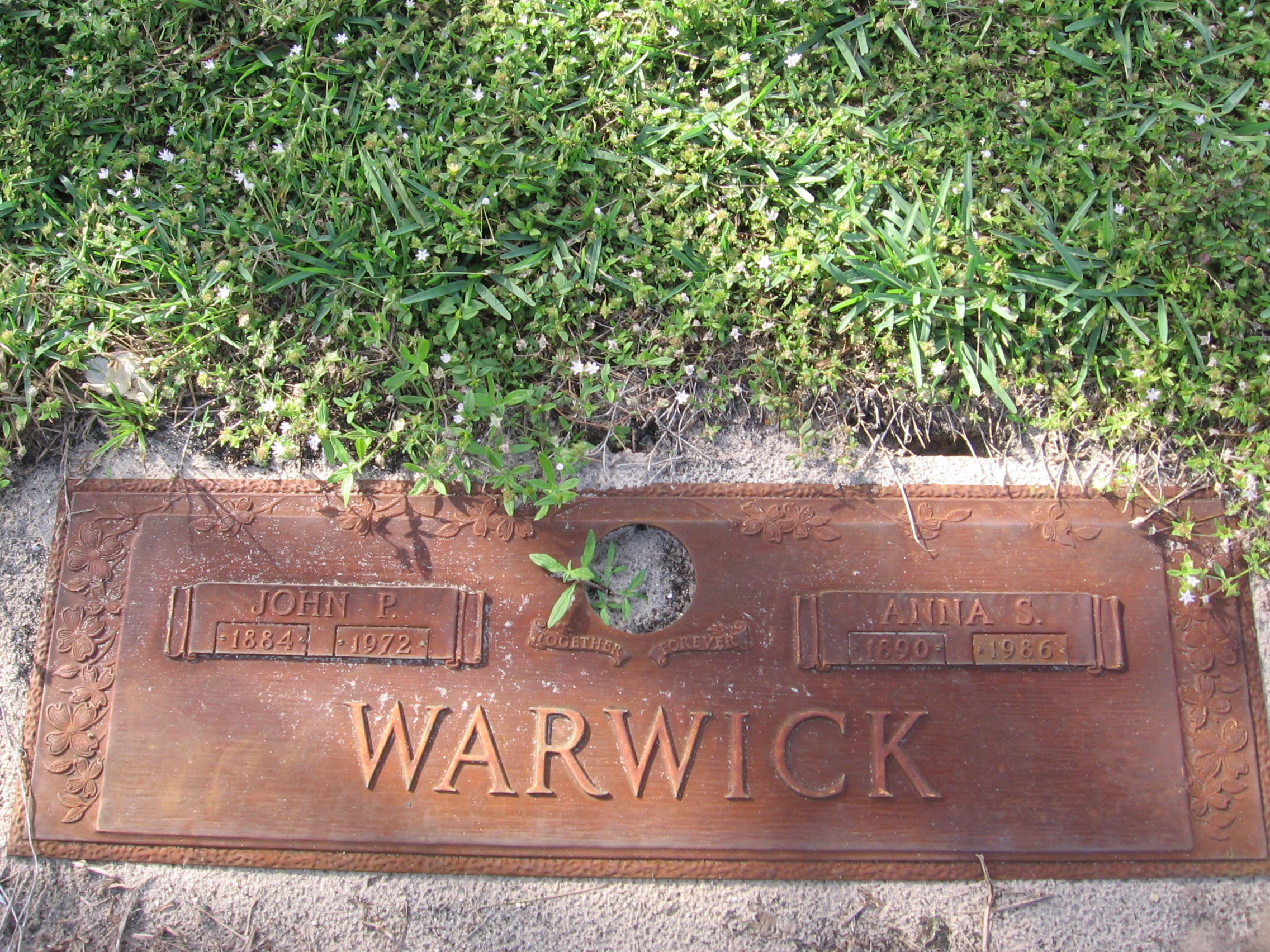 John P Warwick